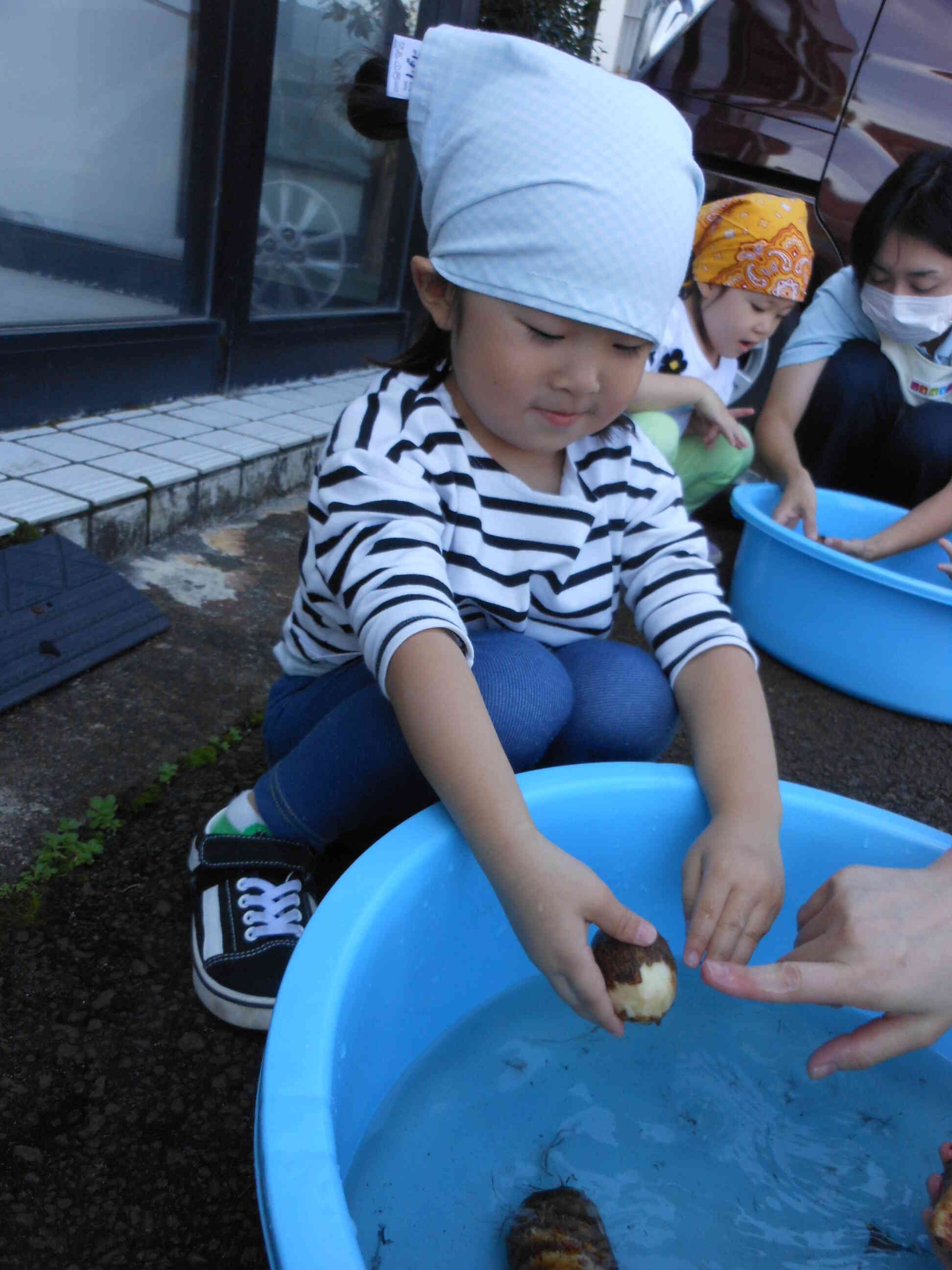 白いお芋が見えてきたよ