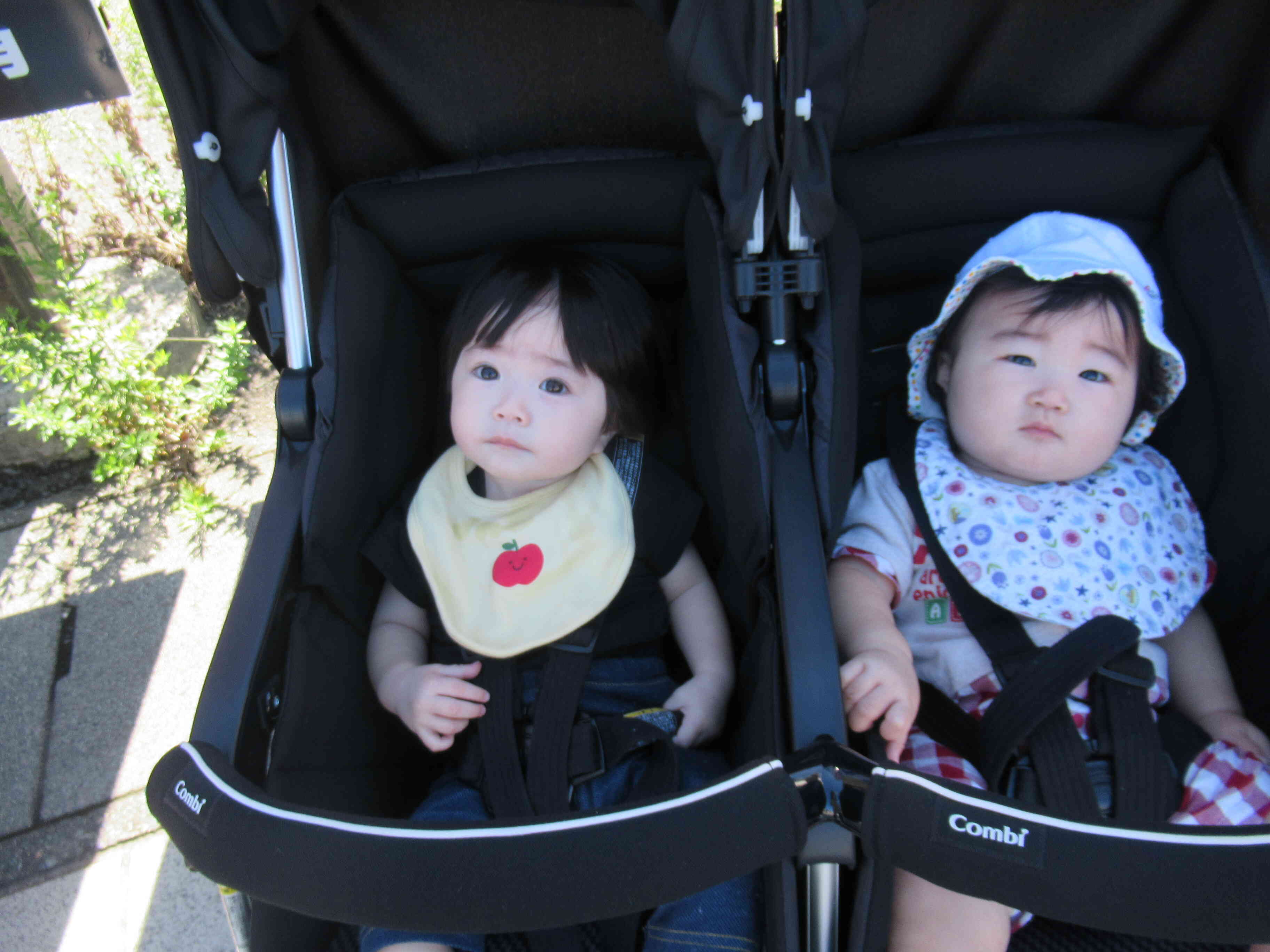 周りの景色をキョロキョロ！