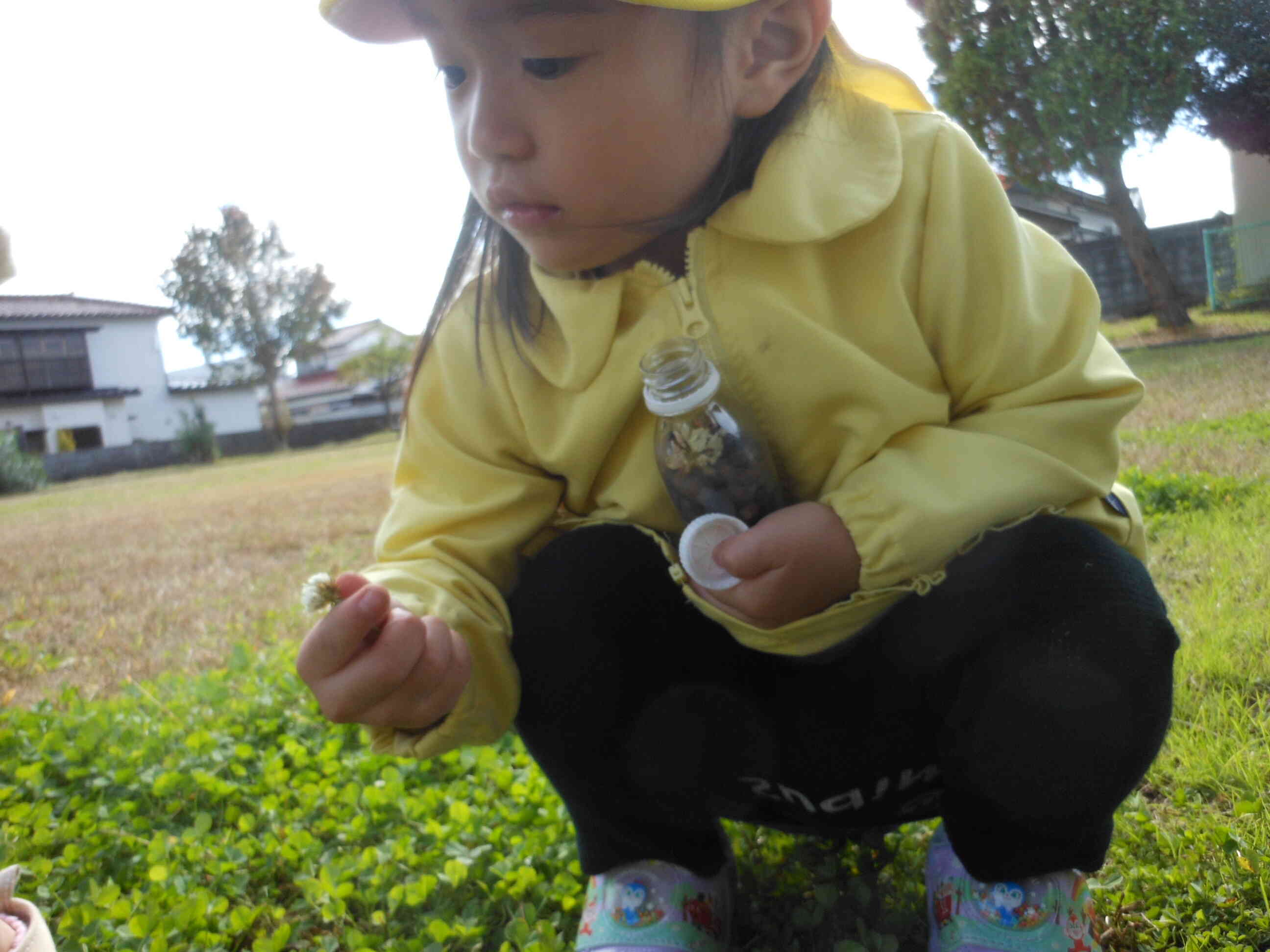 いっぱい見つけた！