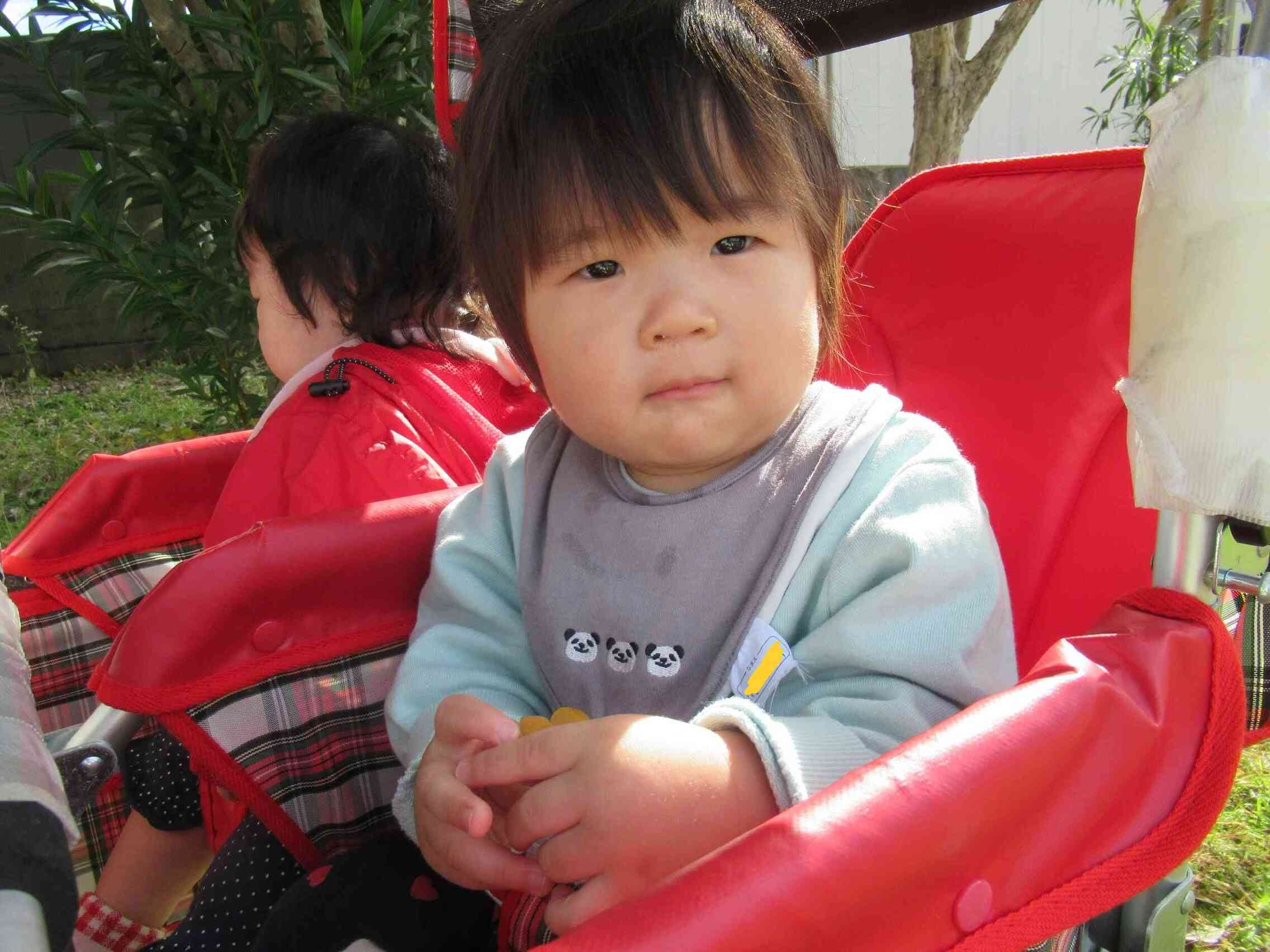 黄色の葉っぱ、見つけたよ！