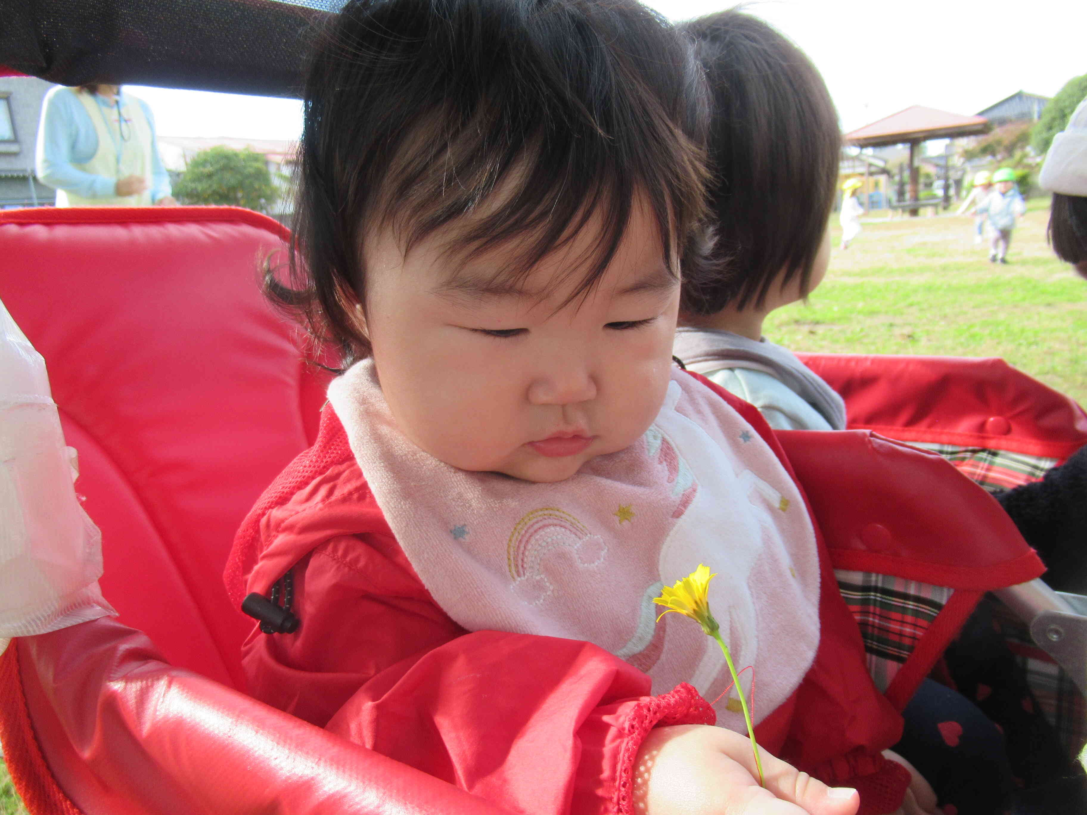 可愛いお花と見つめ合いっこ☆