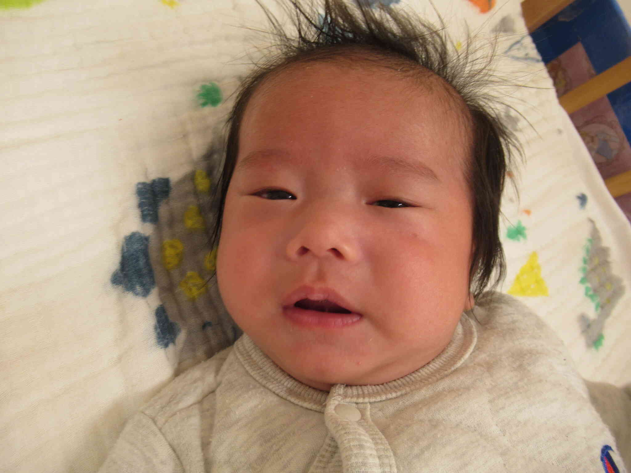 新しいお友だちが仲間入りしました♪