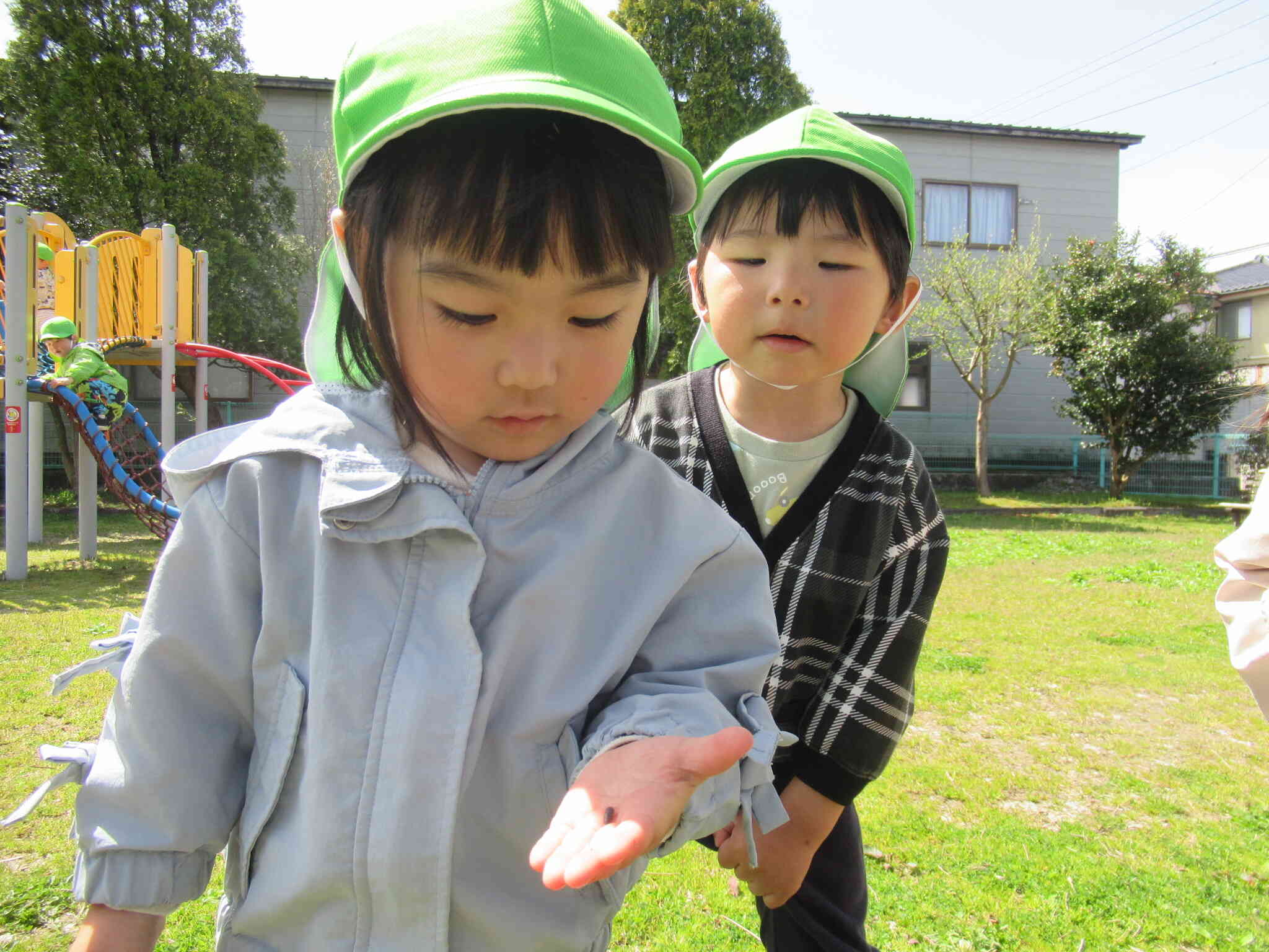何見つけたの？