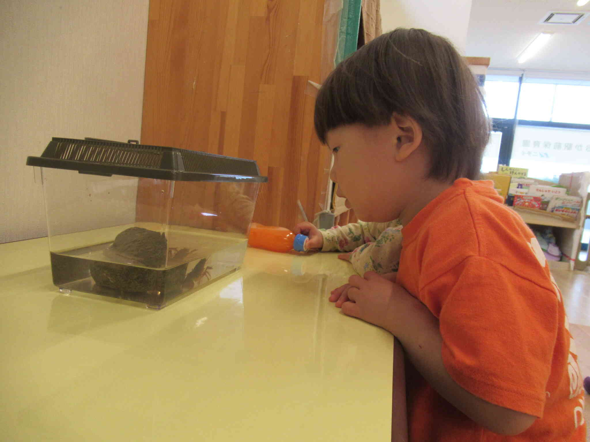うさぎ組（２歳児）に仲間が増えました★