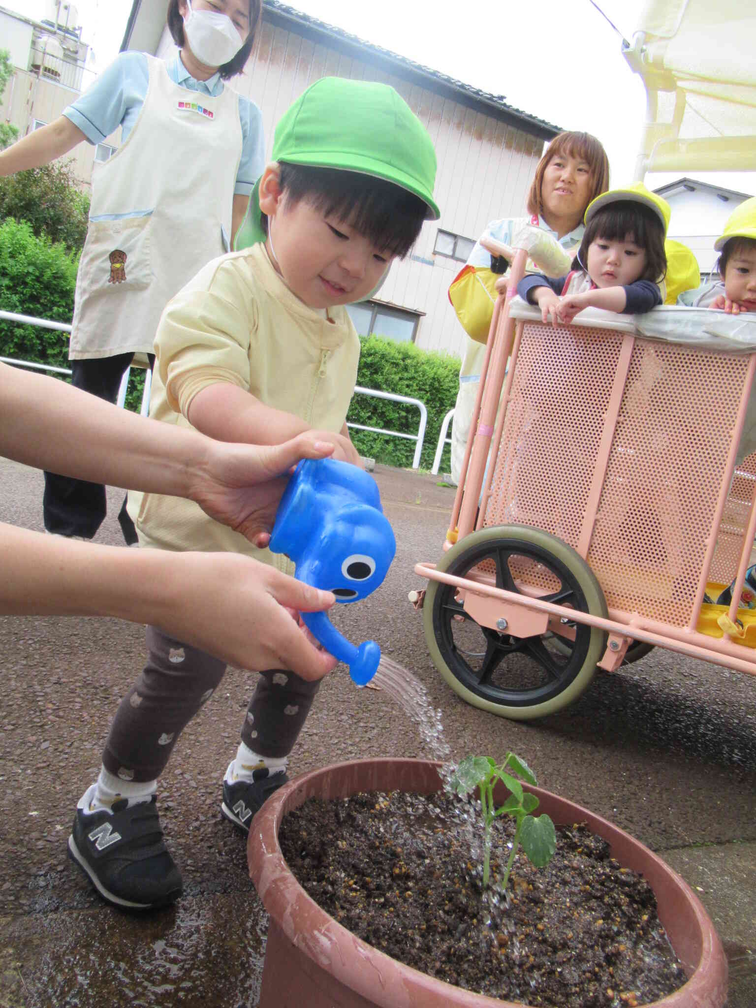 お野菜大きくなあれ♪