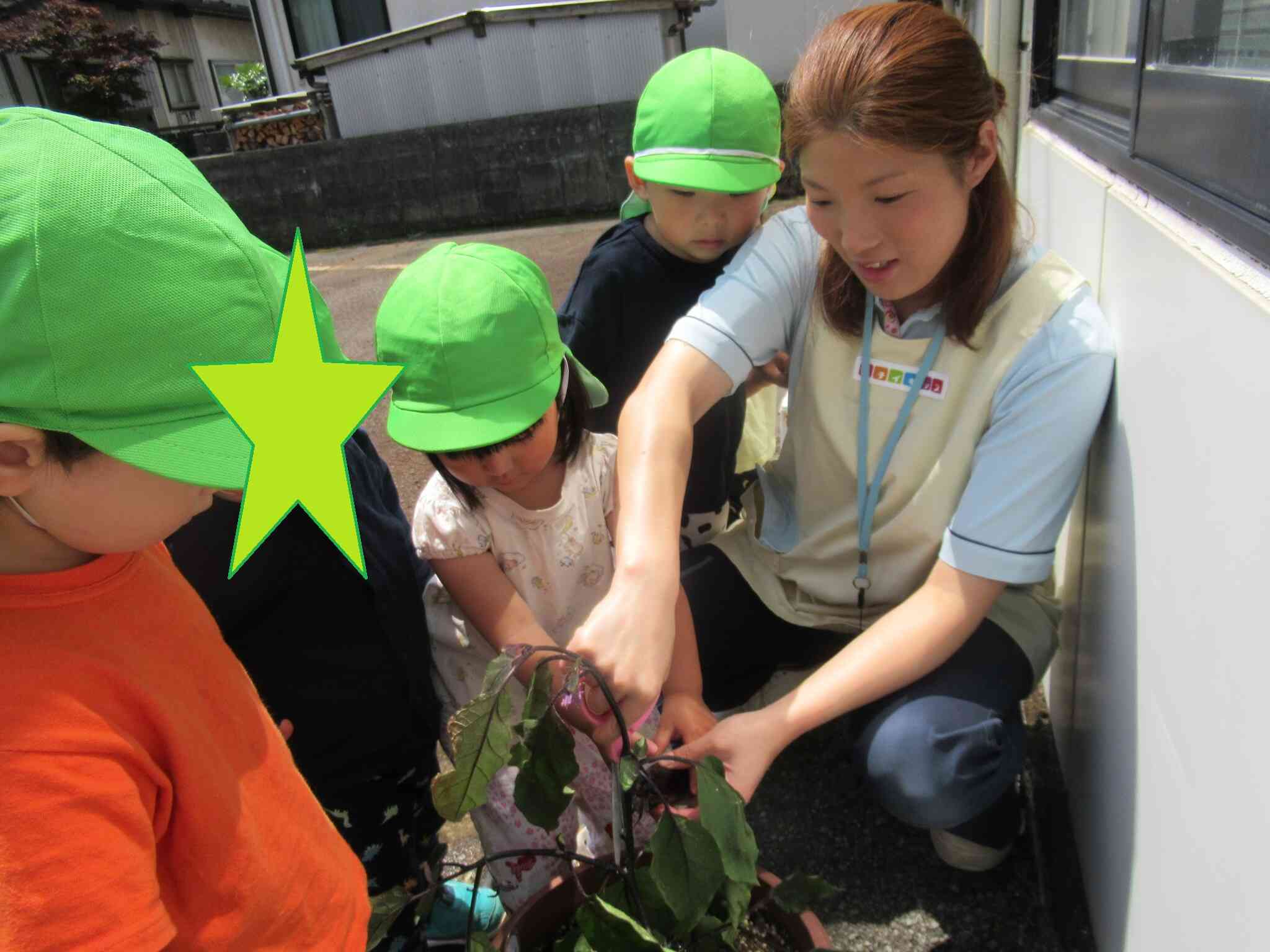 野菜の収穫したよ！