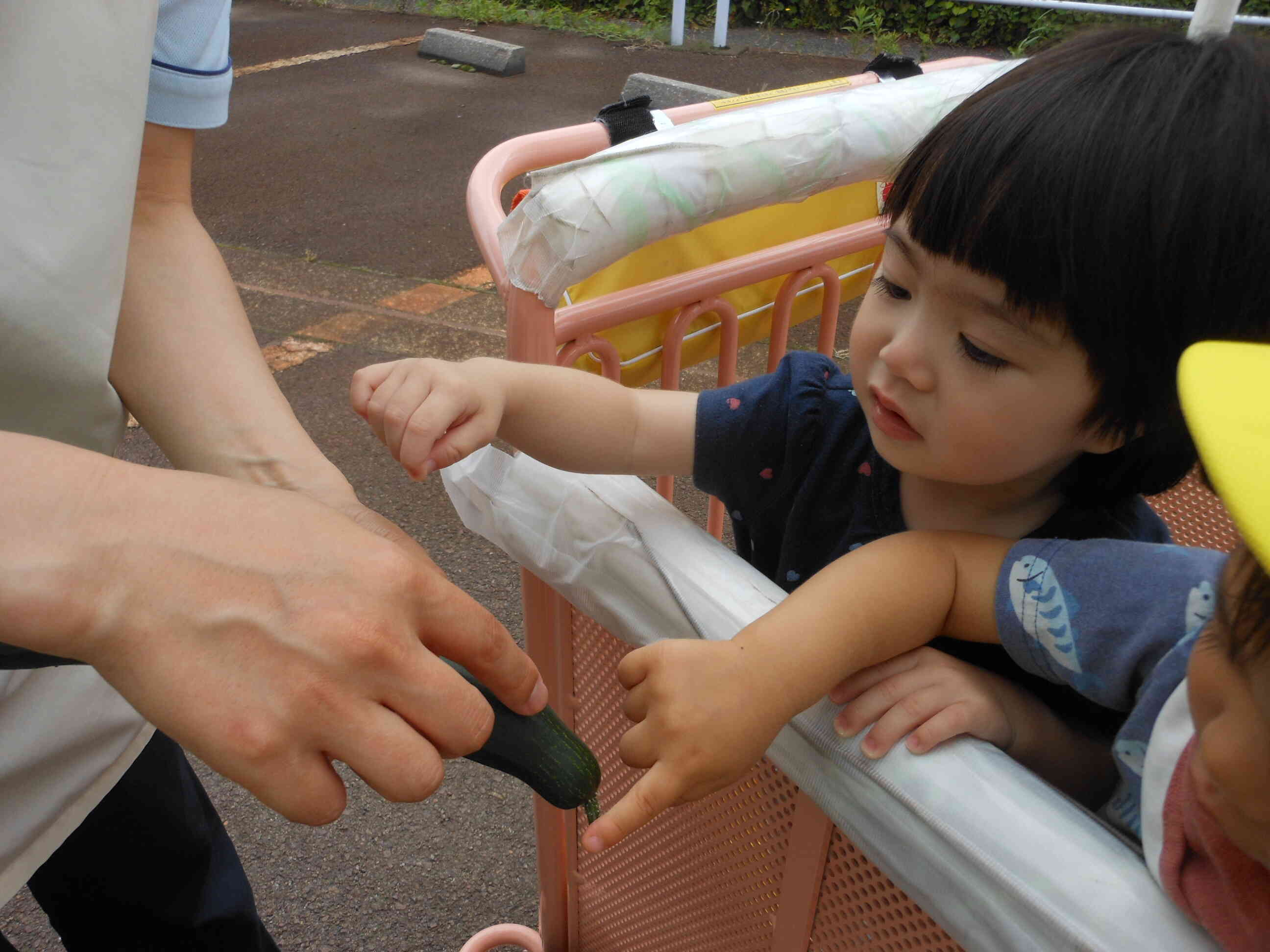 ツンツン触ってみよう！
