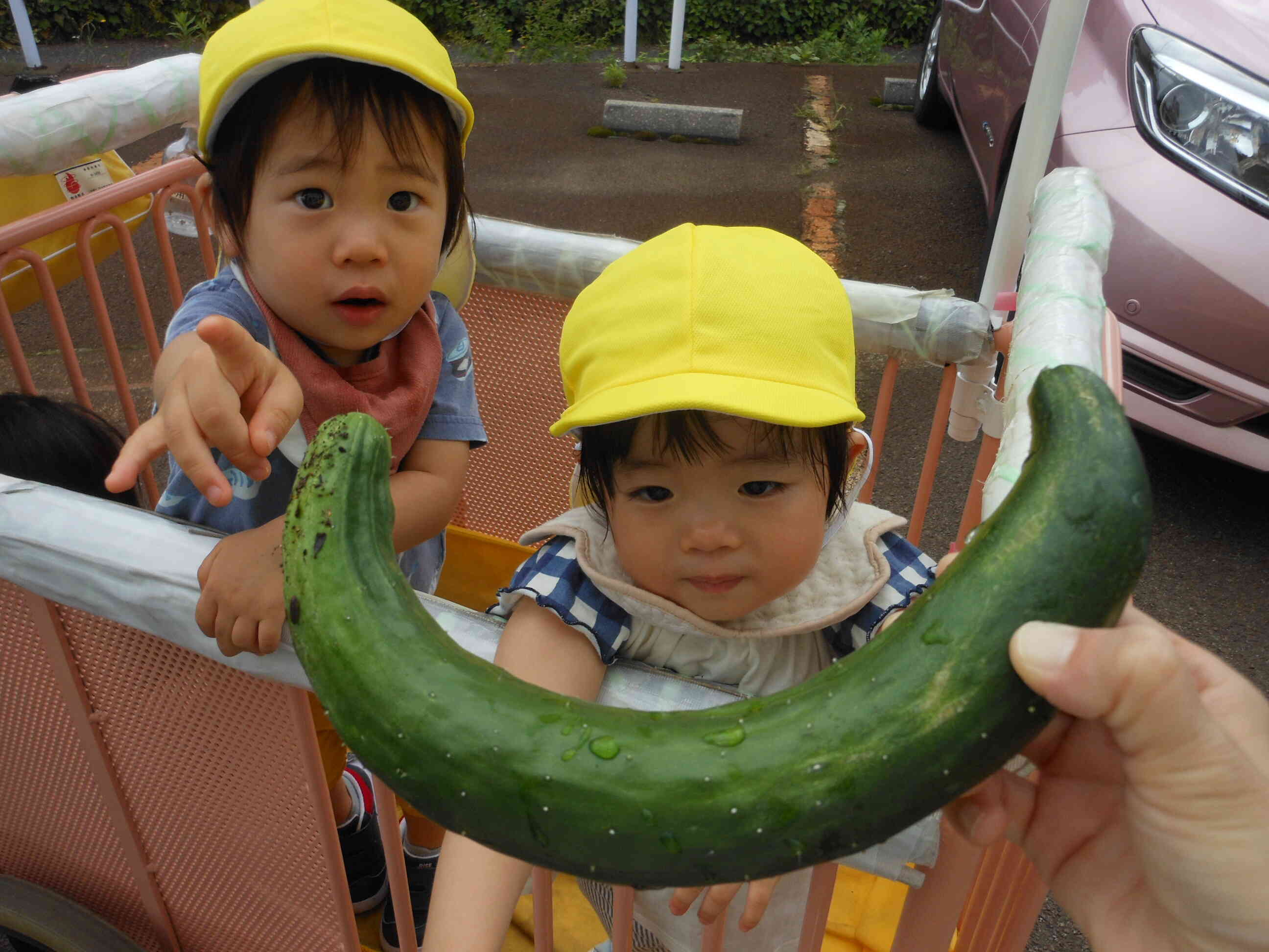 見せてー！