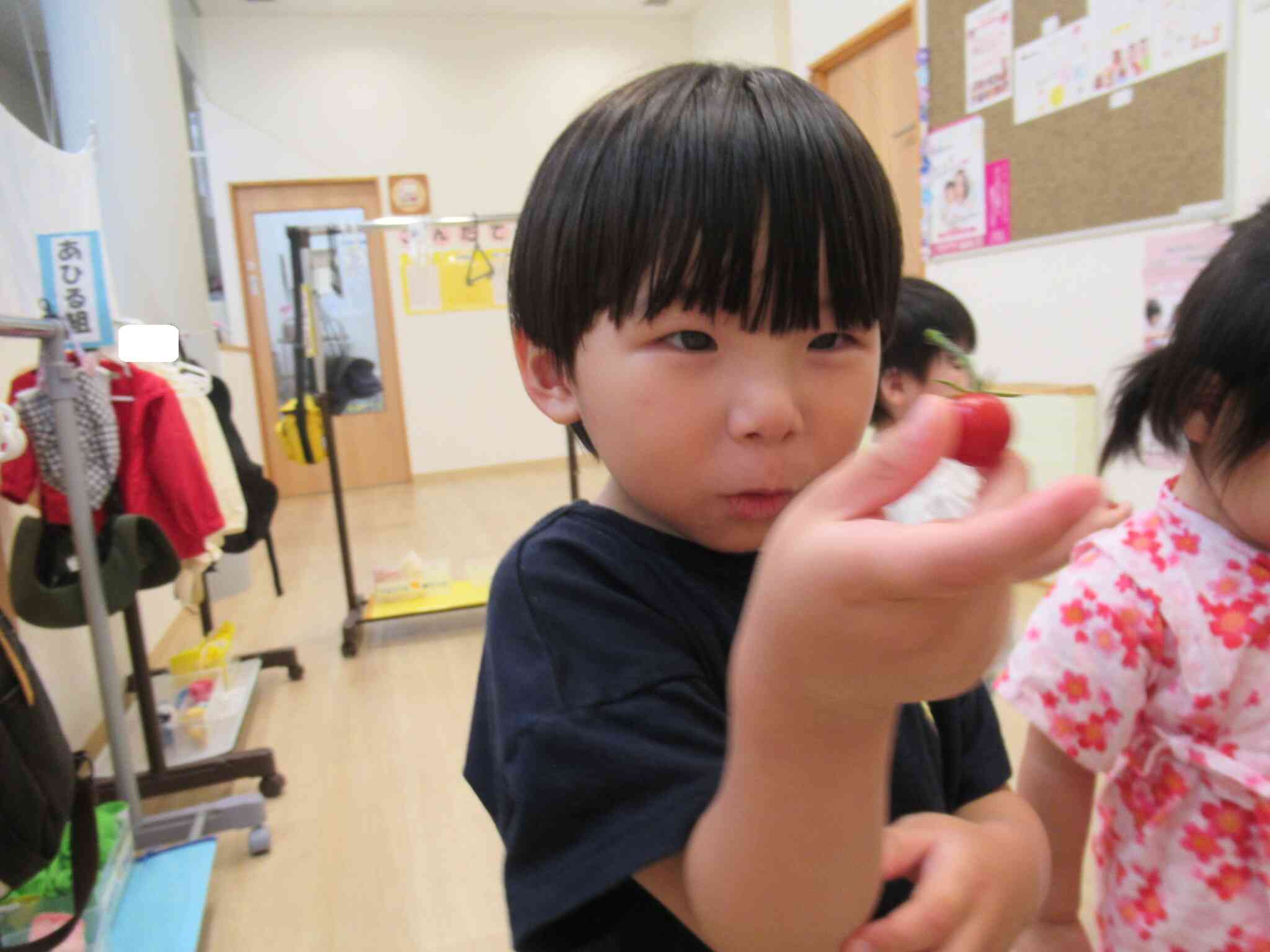 トマトの観察！