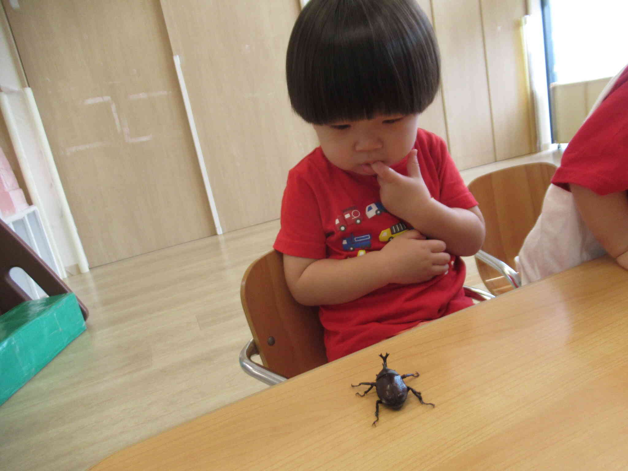 生き物に興味津々