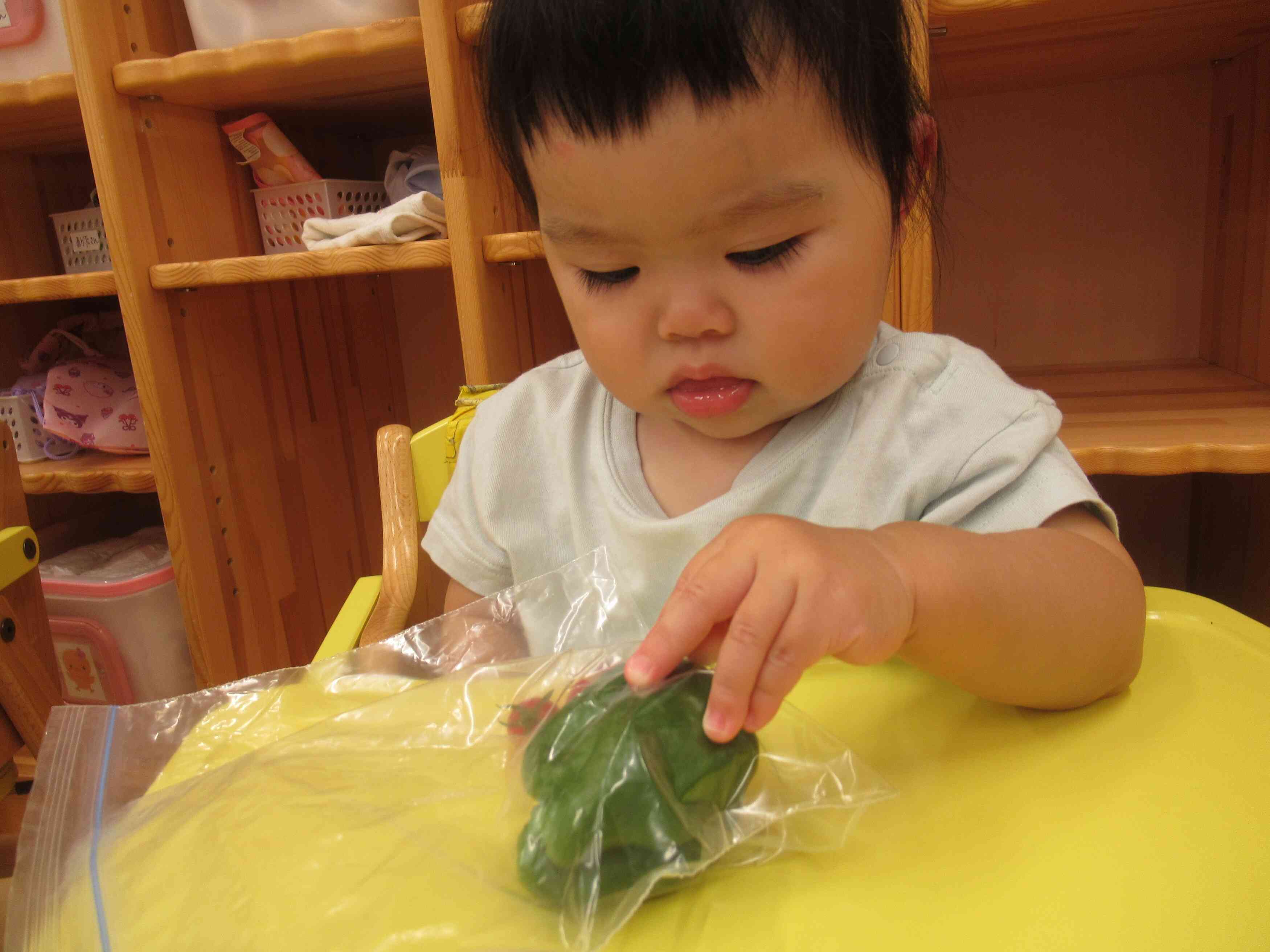 お野菜にタッチできたよ！