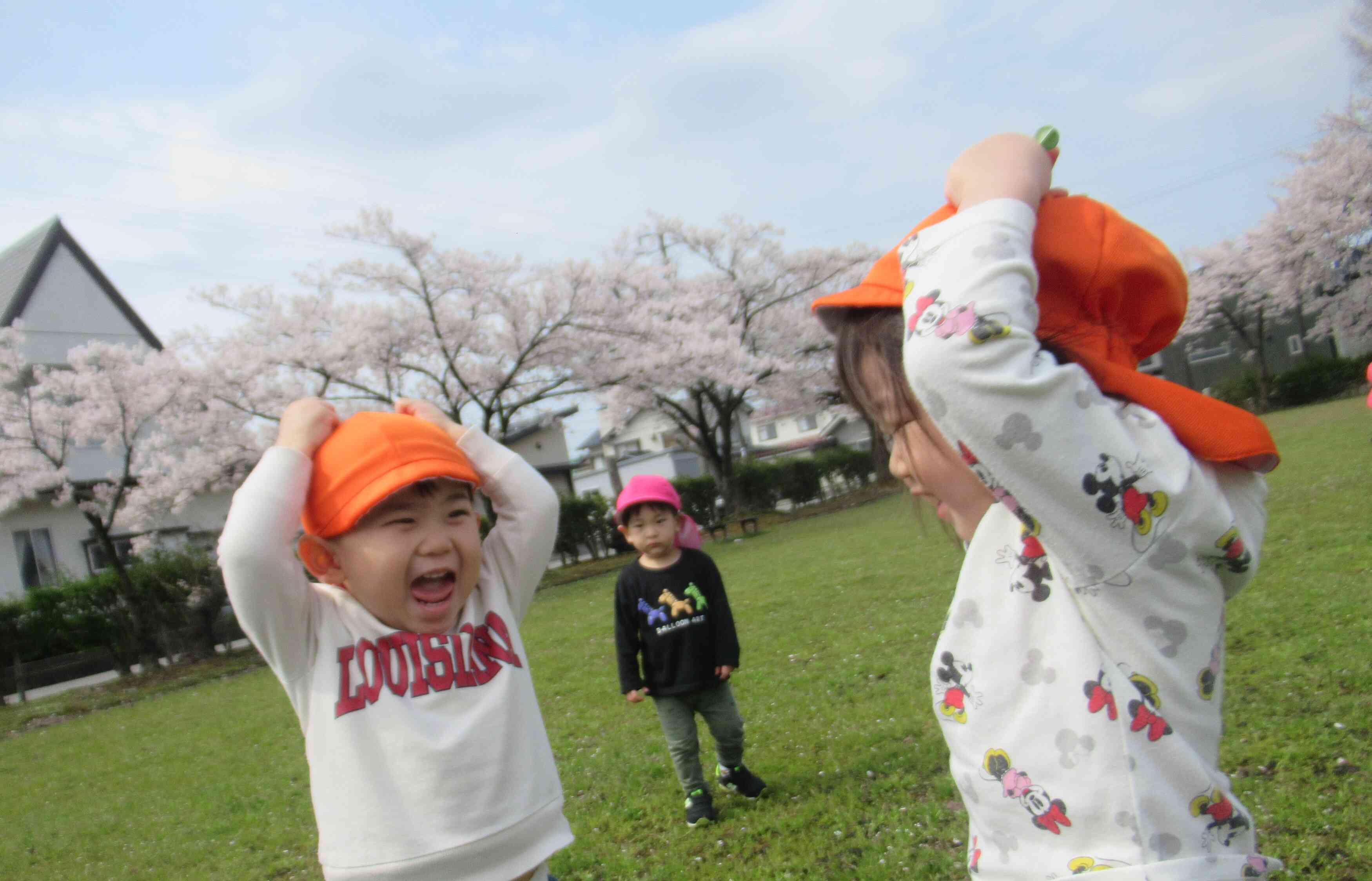 桜の花びら、み~つけた!