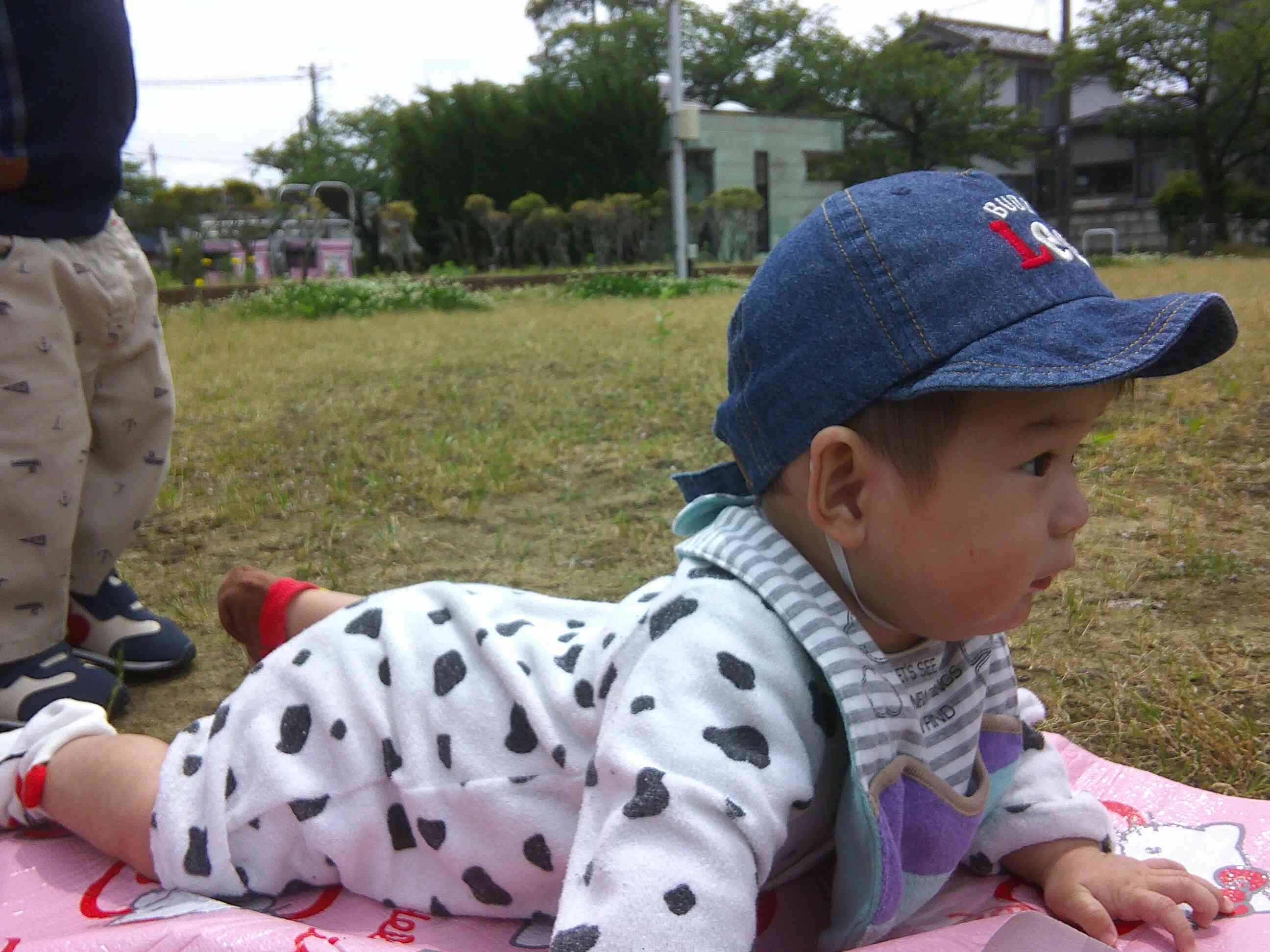 シートの上で日向ぼっこ！みんなの遊んでいる様子に興味津々の様子☆