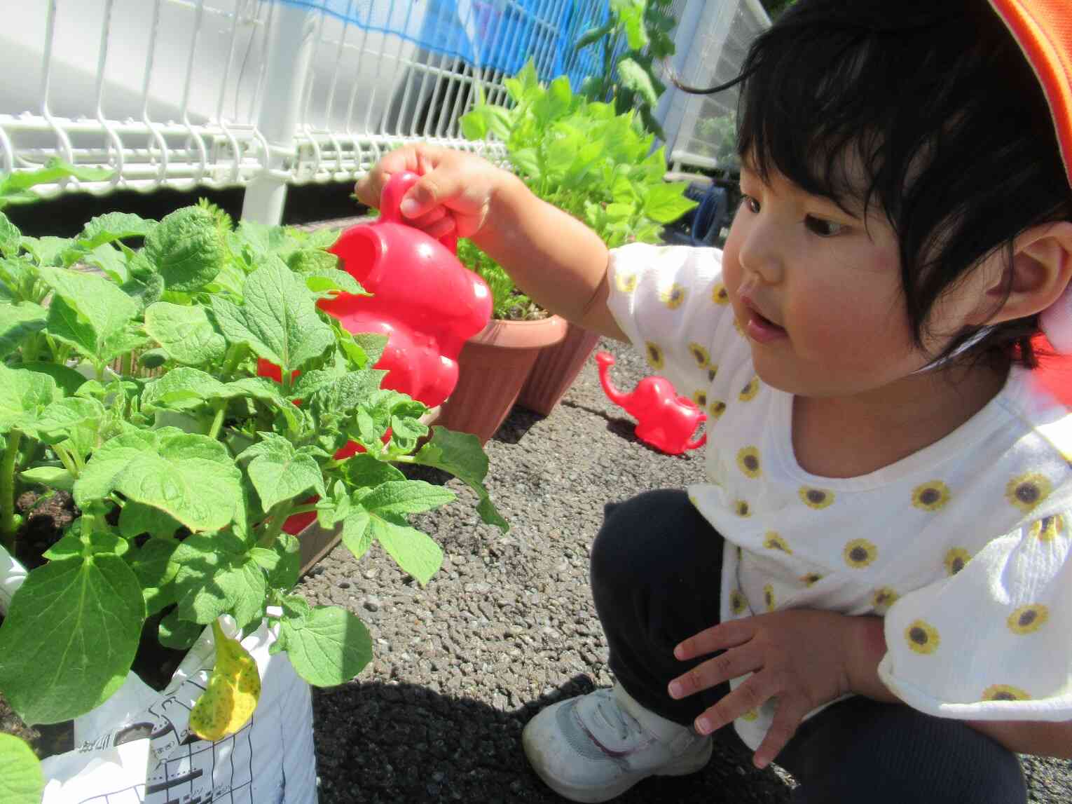 ～お世話が大好きなうさぎ組さん～（2歳児クラス）