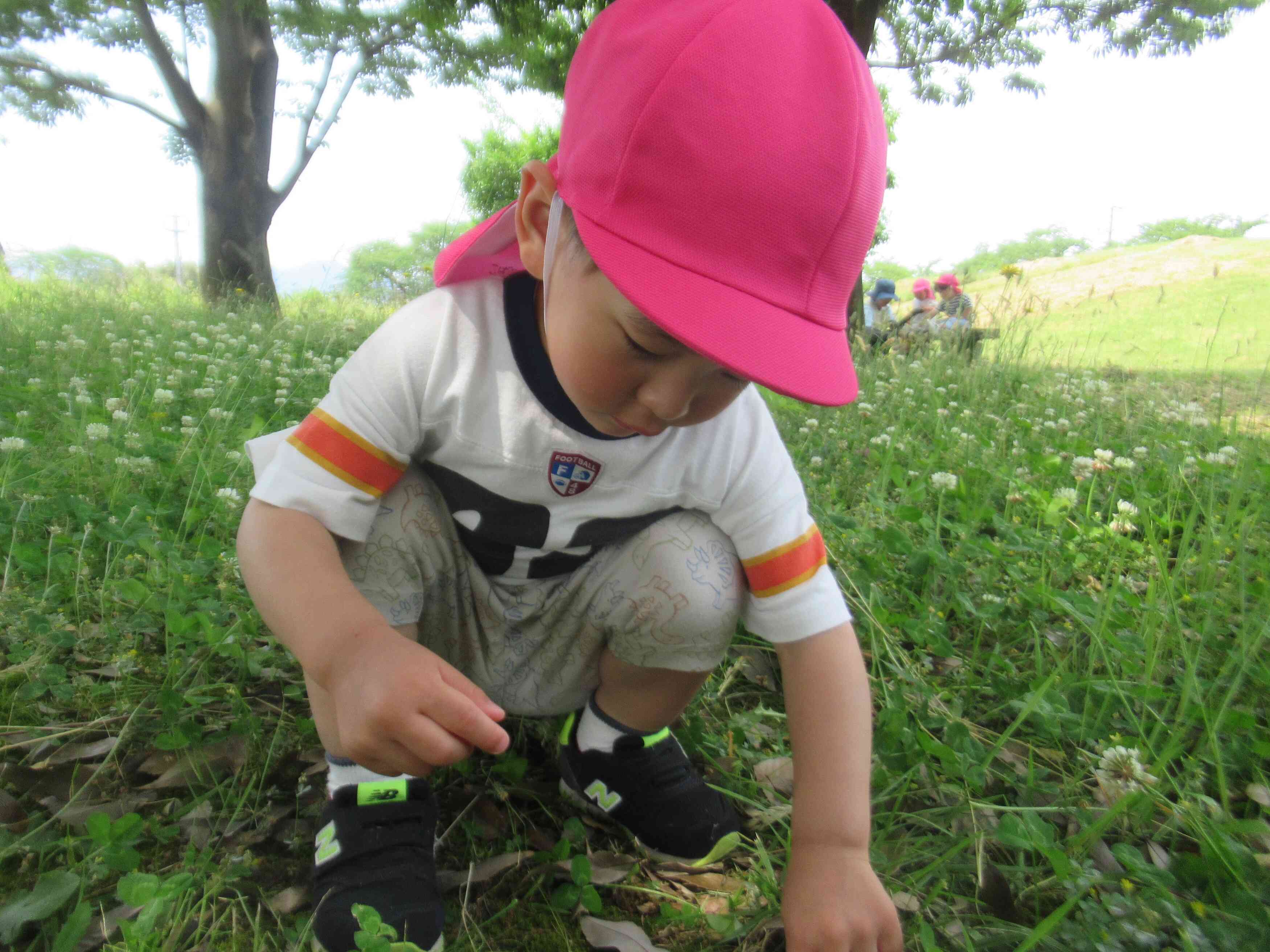 葉っぱみーつけた！