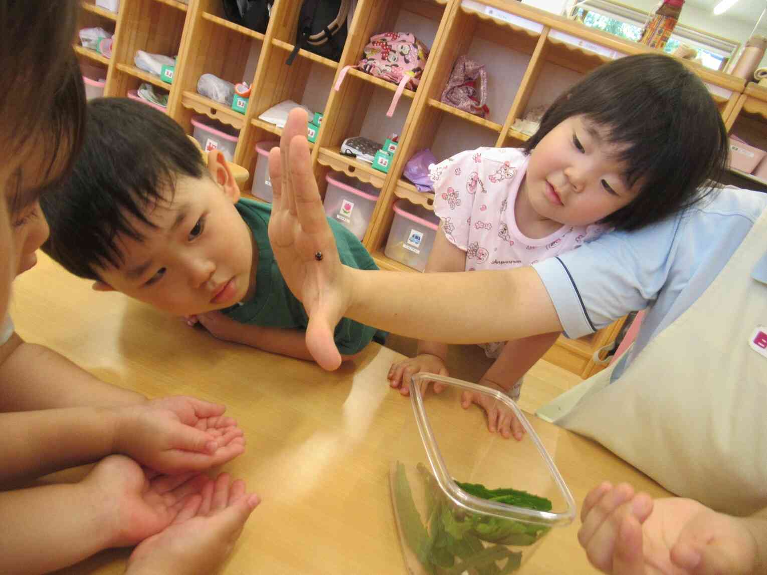 てんとう虫に興味津々!