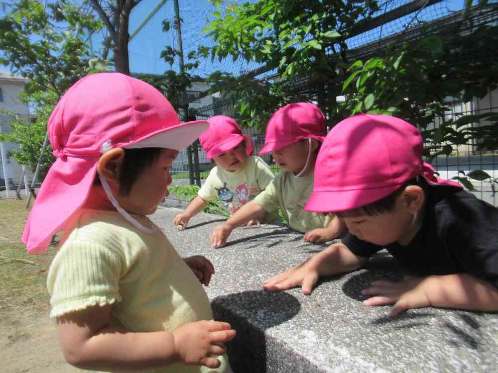 いらっしゃいませ～♪