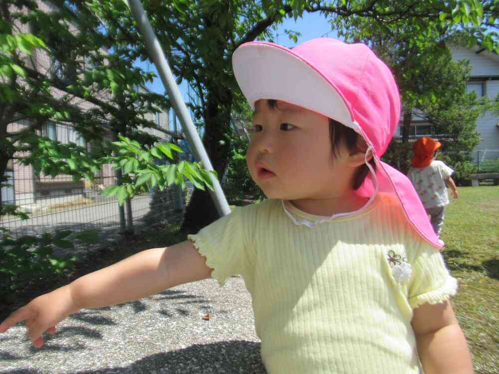 「これください!」