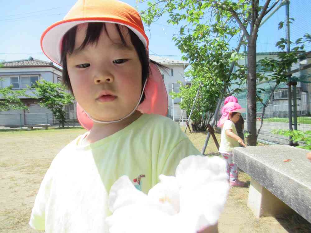 見て見て!見つけたよ♪