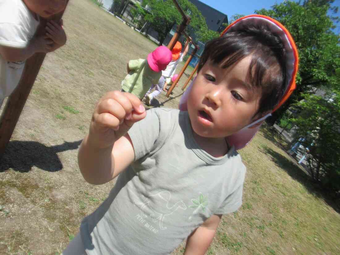 小さい虫さん発見!