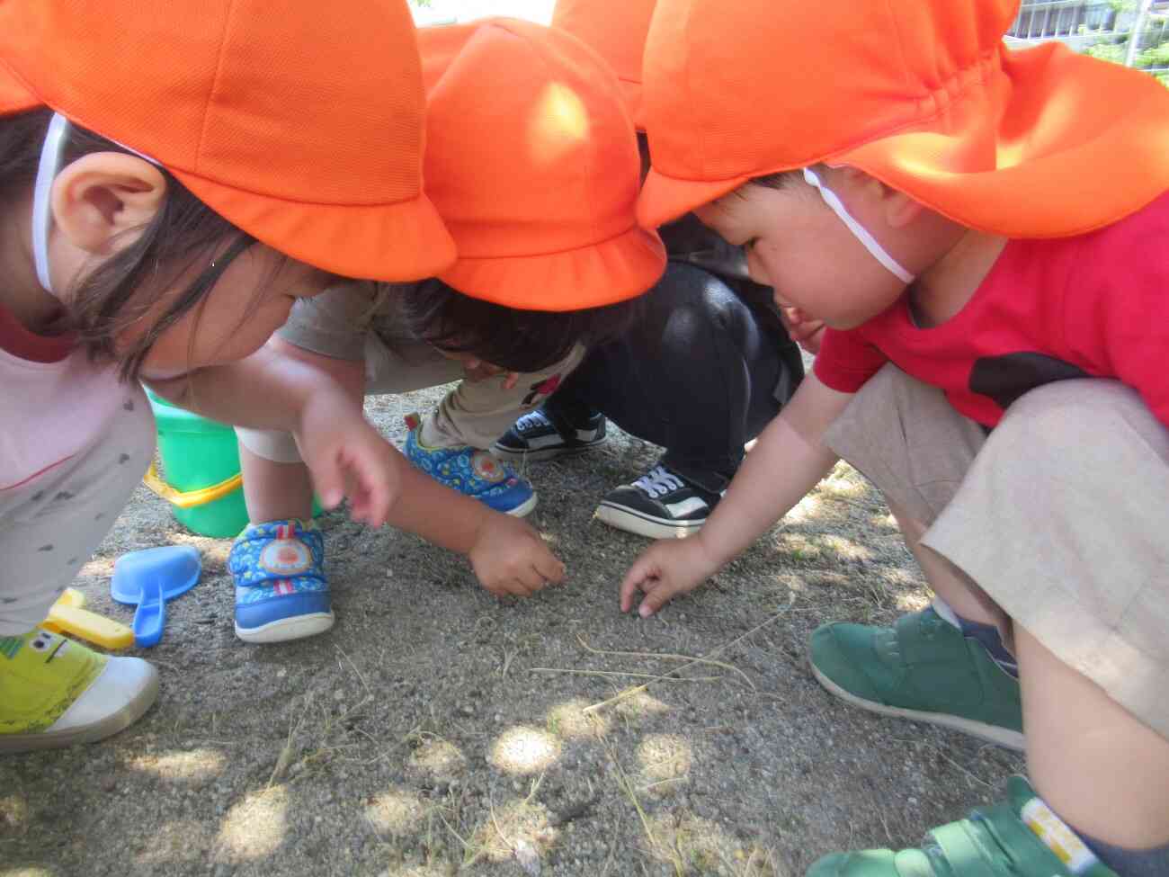 てんとう虫　見つけたよ！