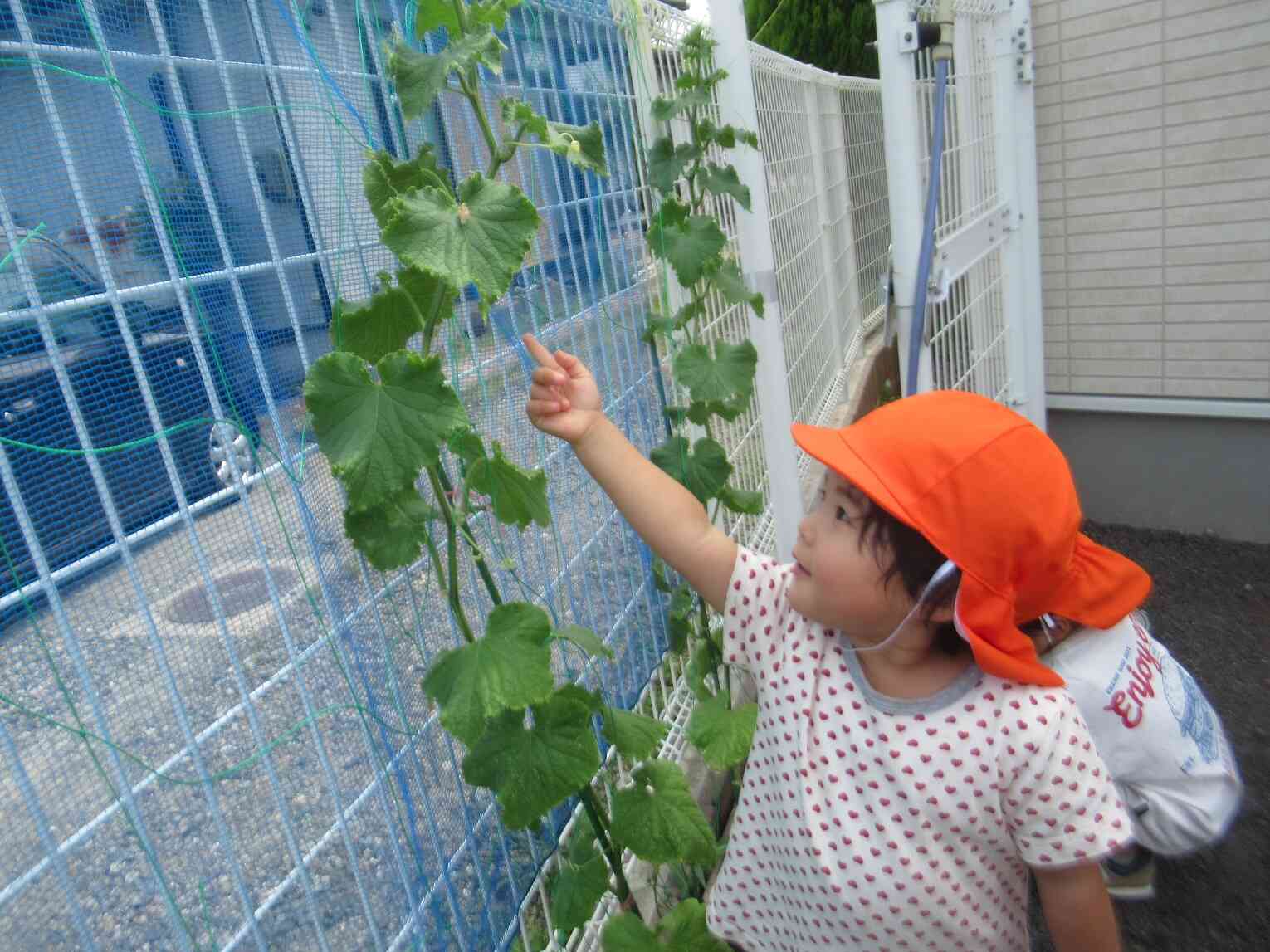 ぐんぐん大きくな～れ☆