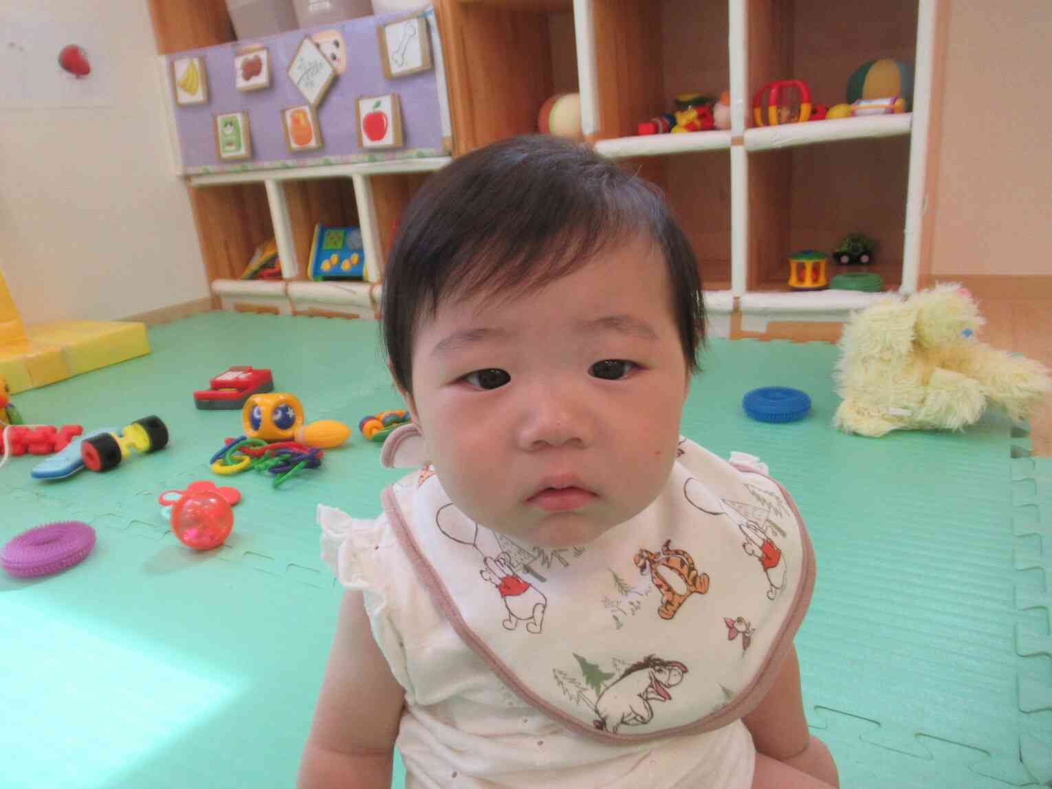 保育園に仲間入り！これからいっぱい遊ぼうね♬