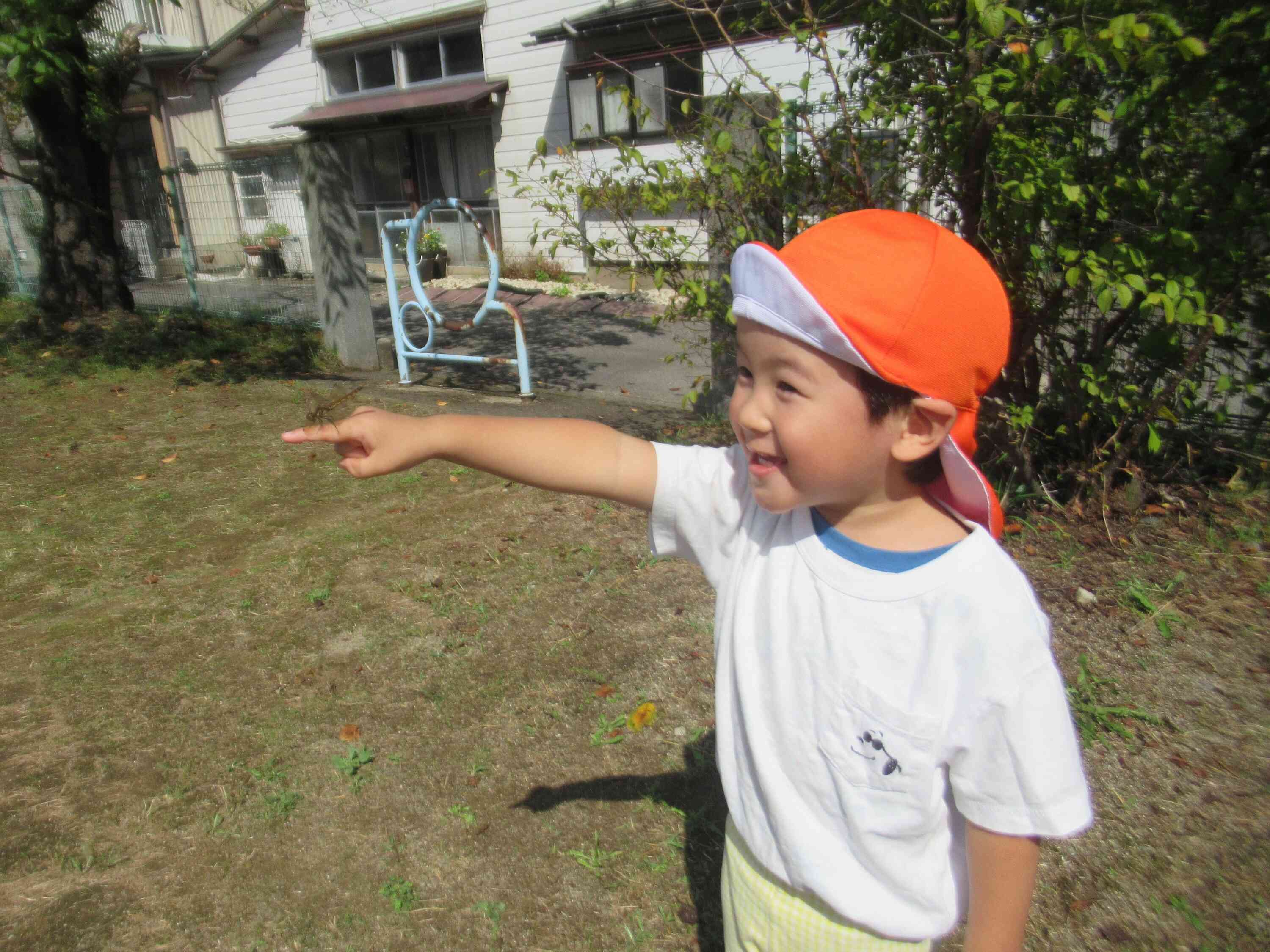 僕の指に止まったよ☆