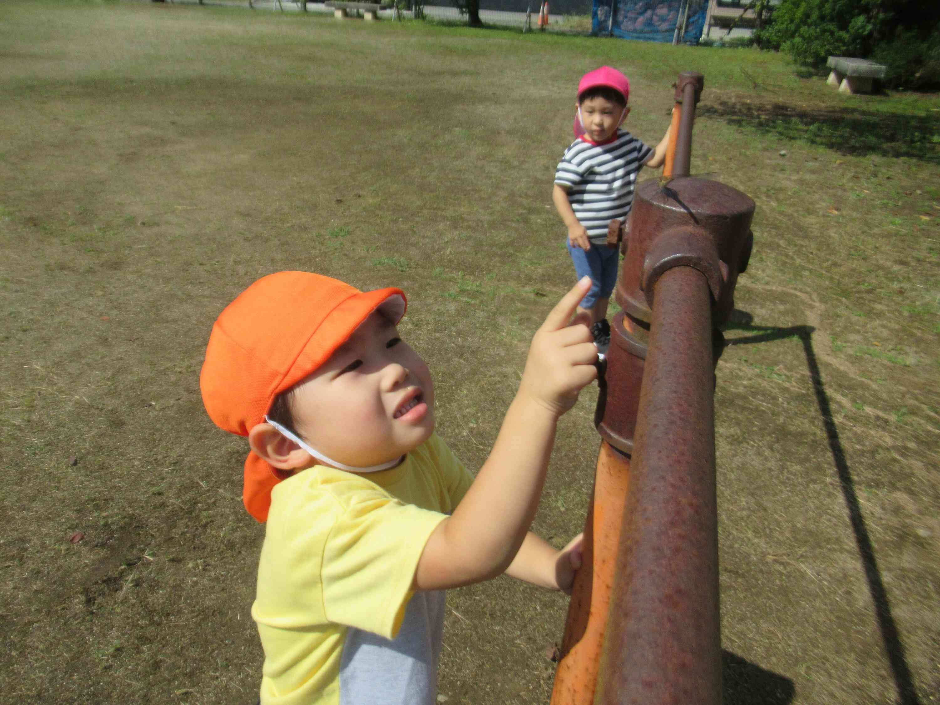秋晴れ散歩に出かけると…