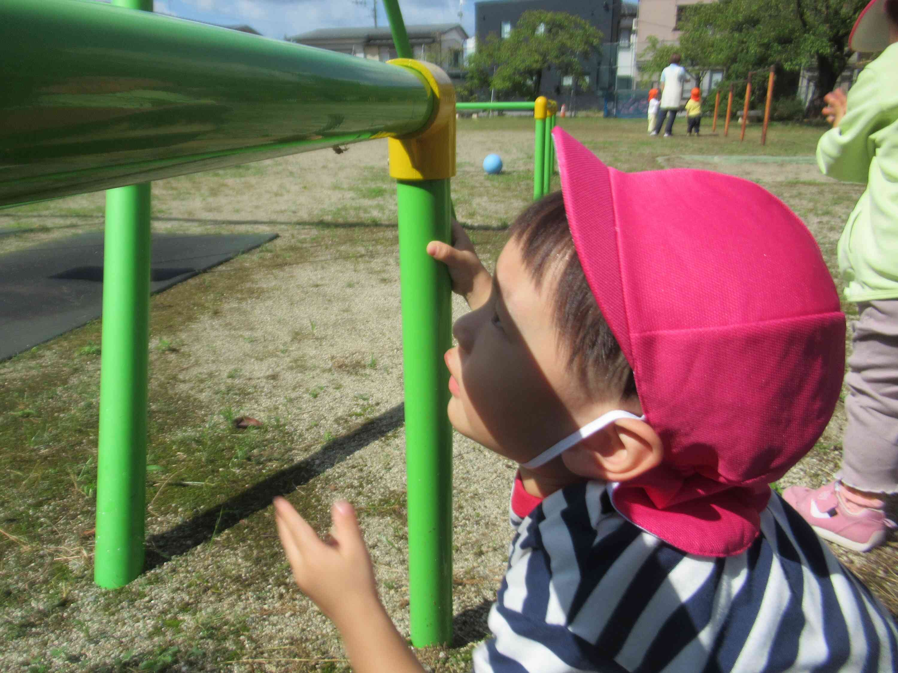 こんなところに蜘蛛さんが！