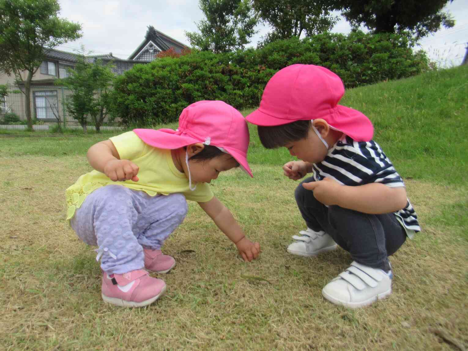 一緒に秋探し散歩に行きましょう！
