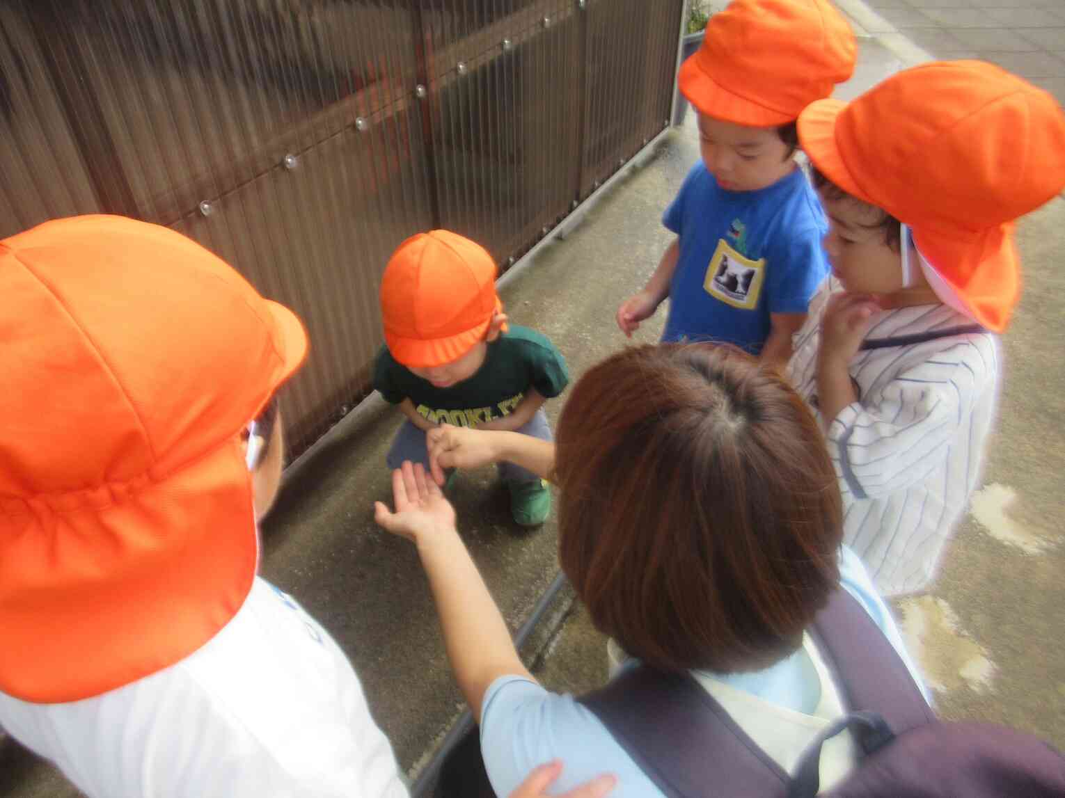 今日のとんぼのメガネは何色？