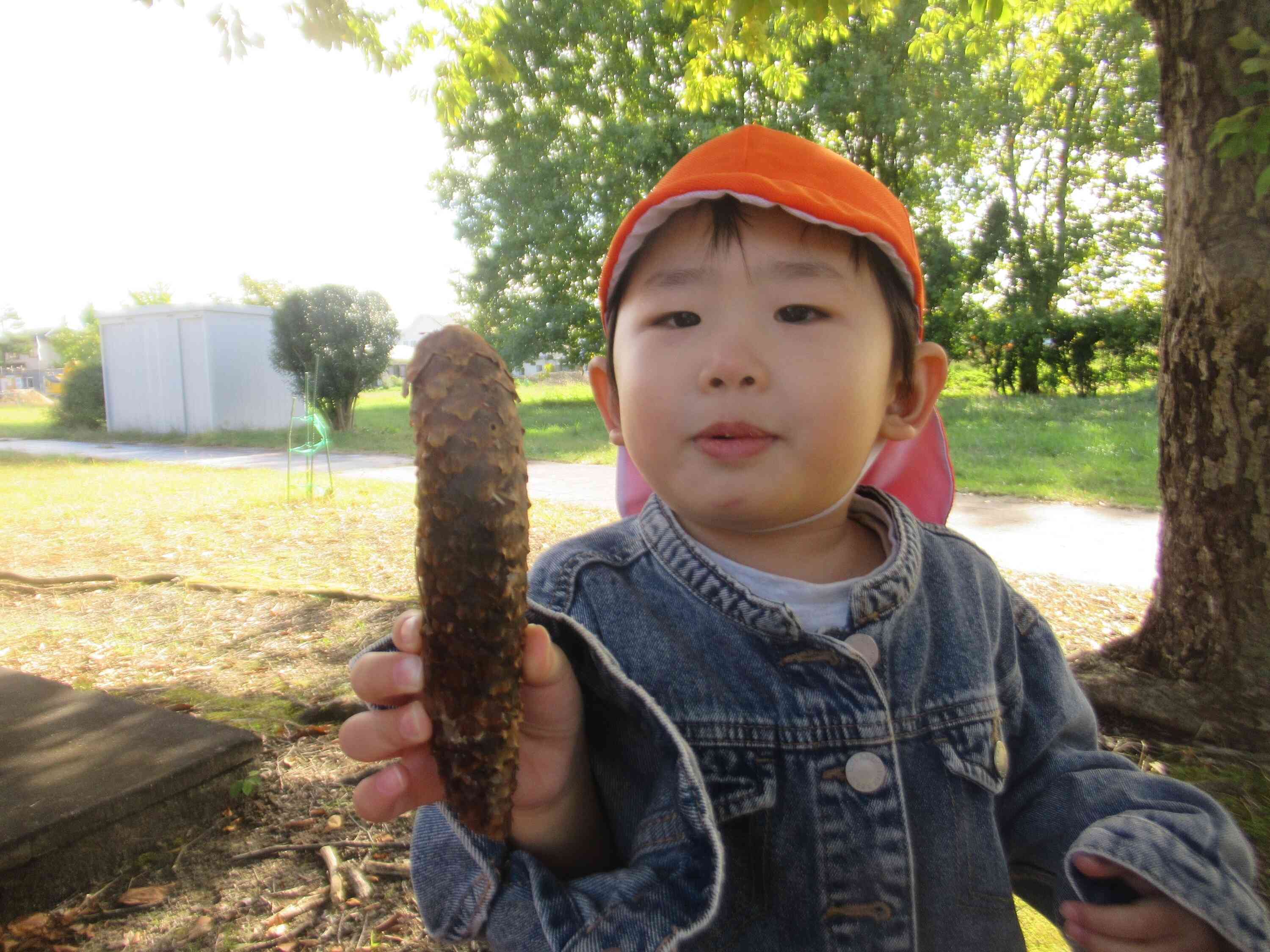 これなーんだ？