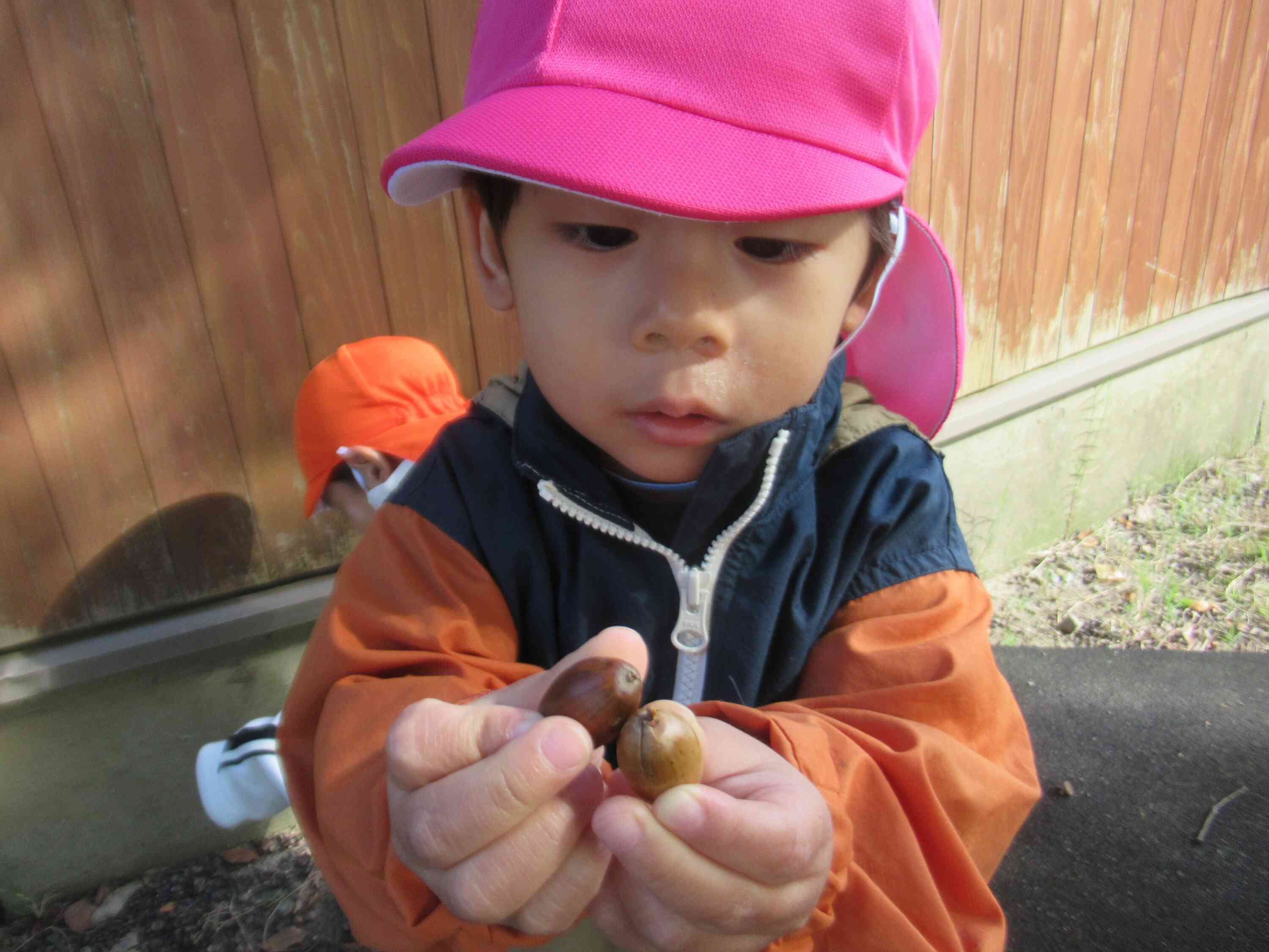 どんぐりさんたくさん拾ったよ☆