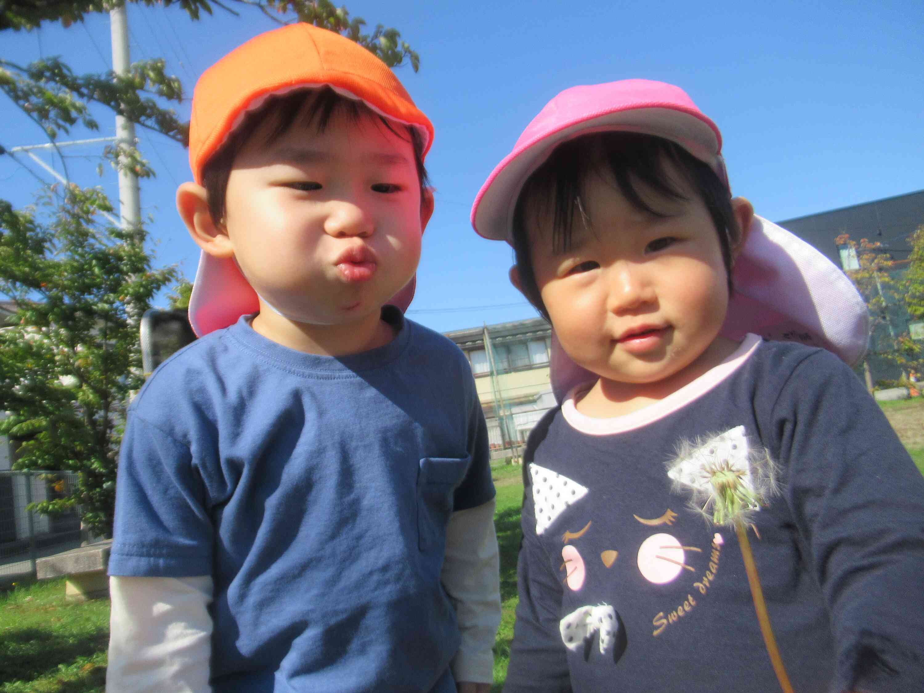 秋晴れ散歩はいい気持ち...