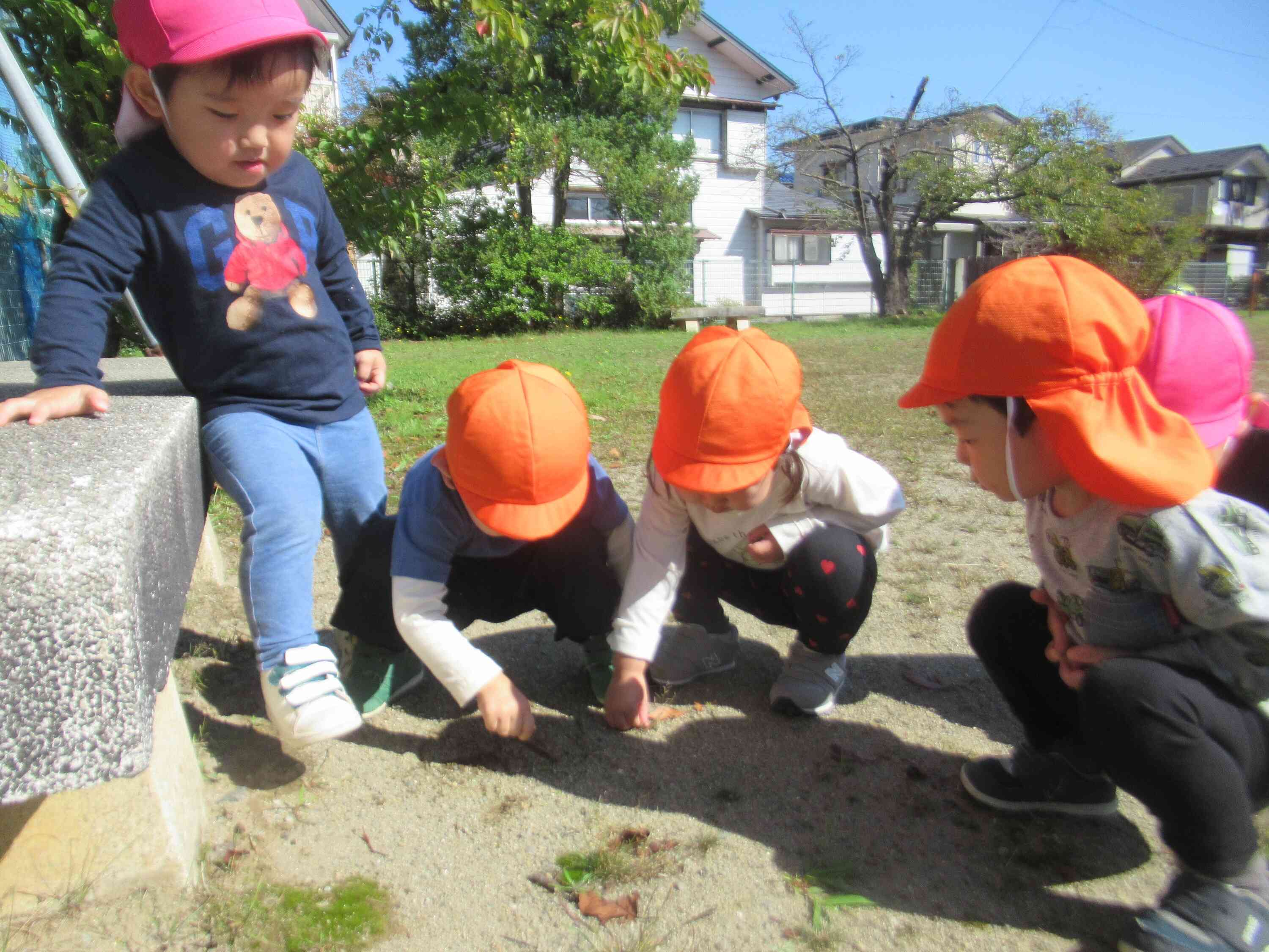 これ見て！なになに？