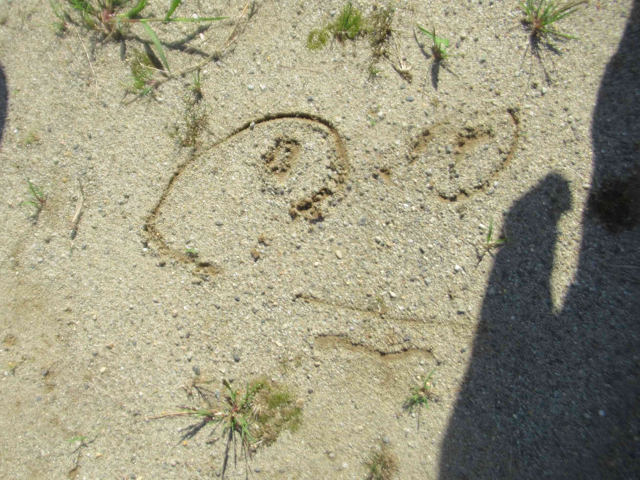 これは何を描いたでしょう？