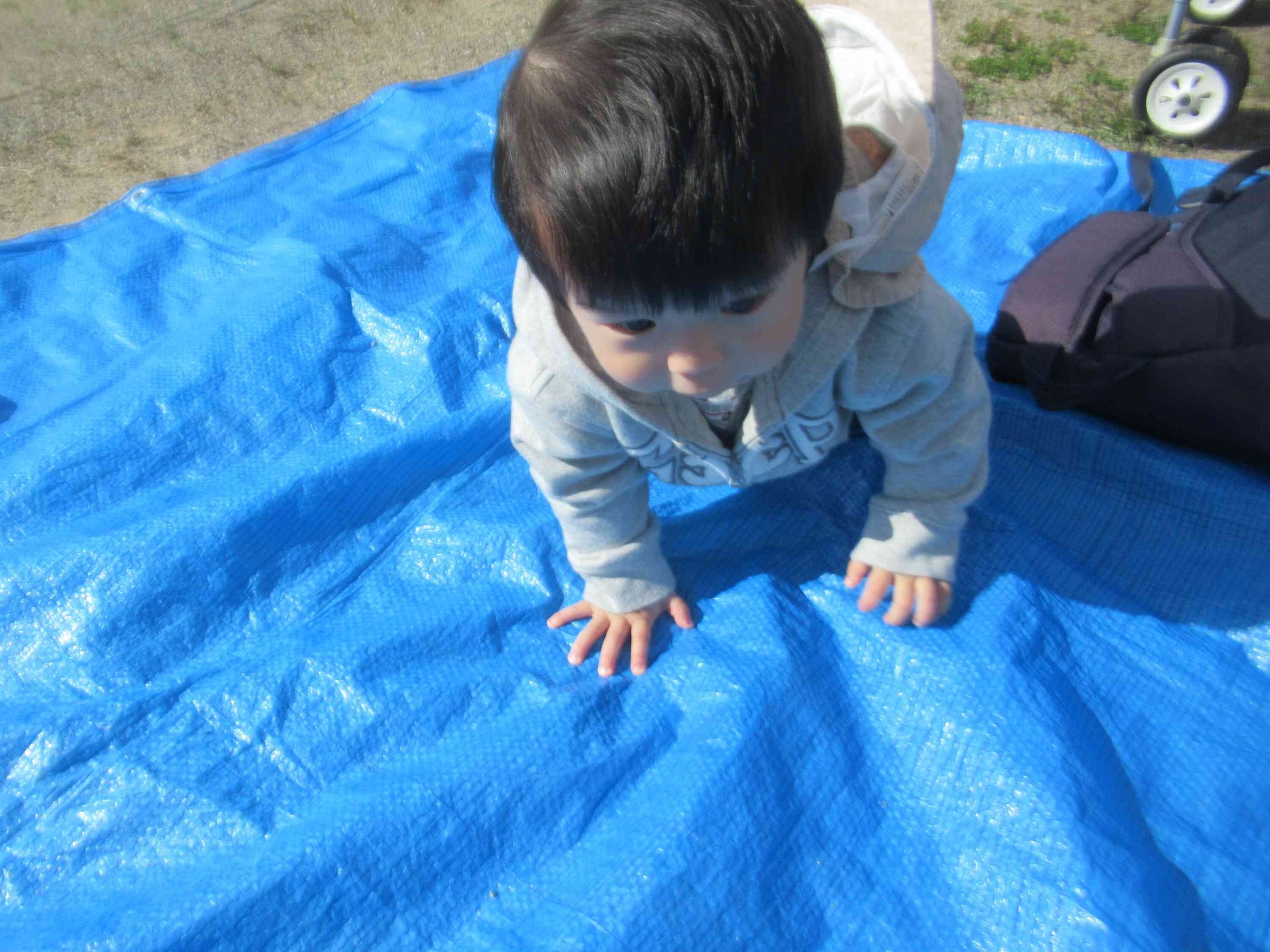 僕も動いてみたくてウズウズ・・・