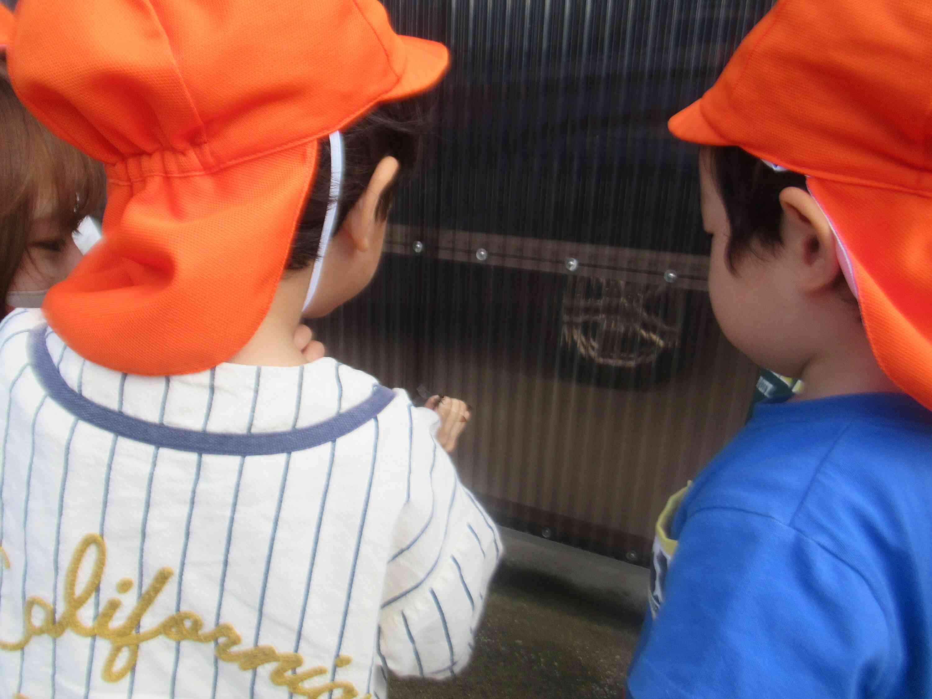 興味関心を共有中！