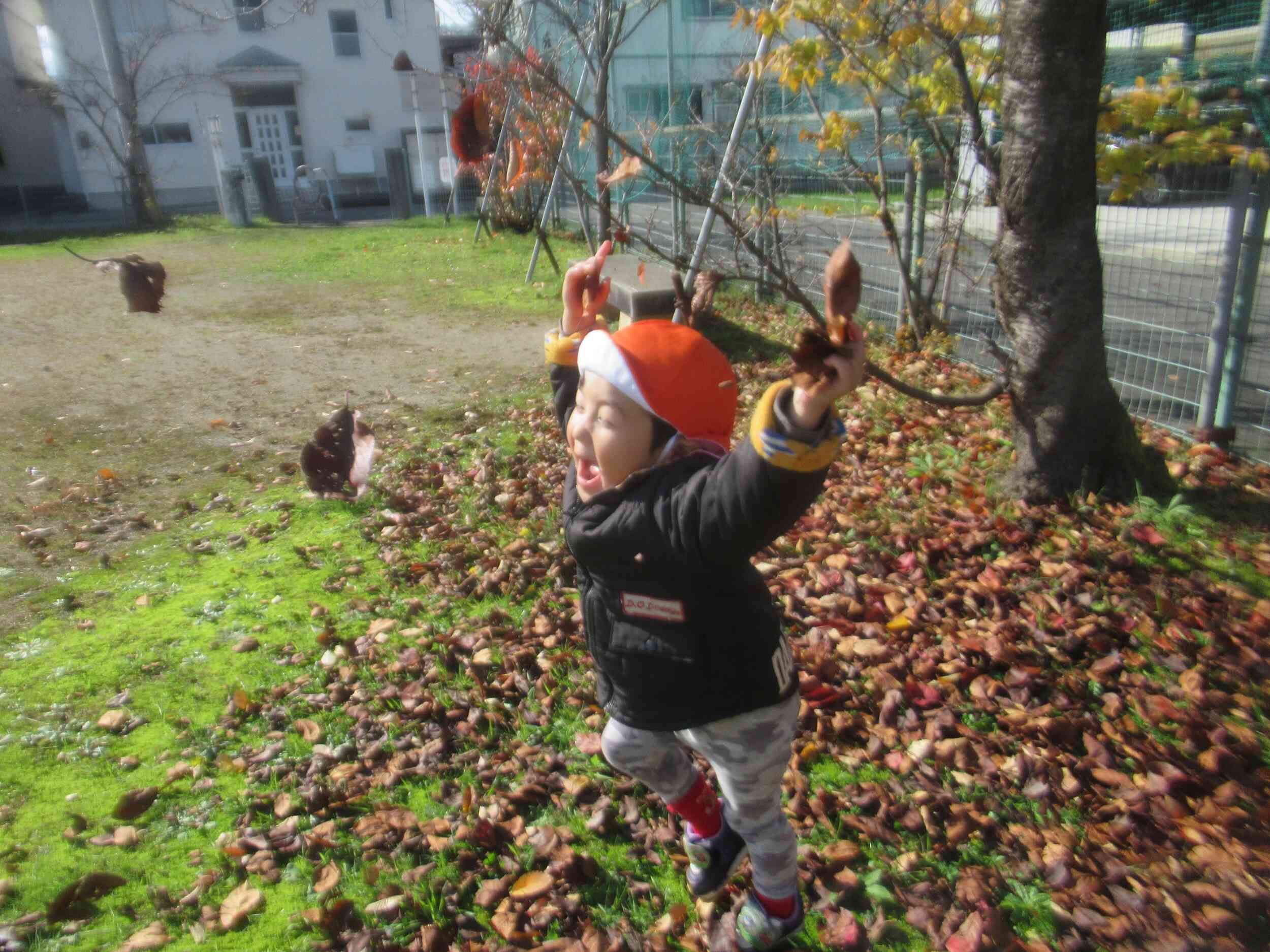 秋空散歩は最高!