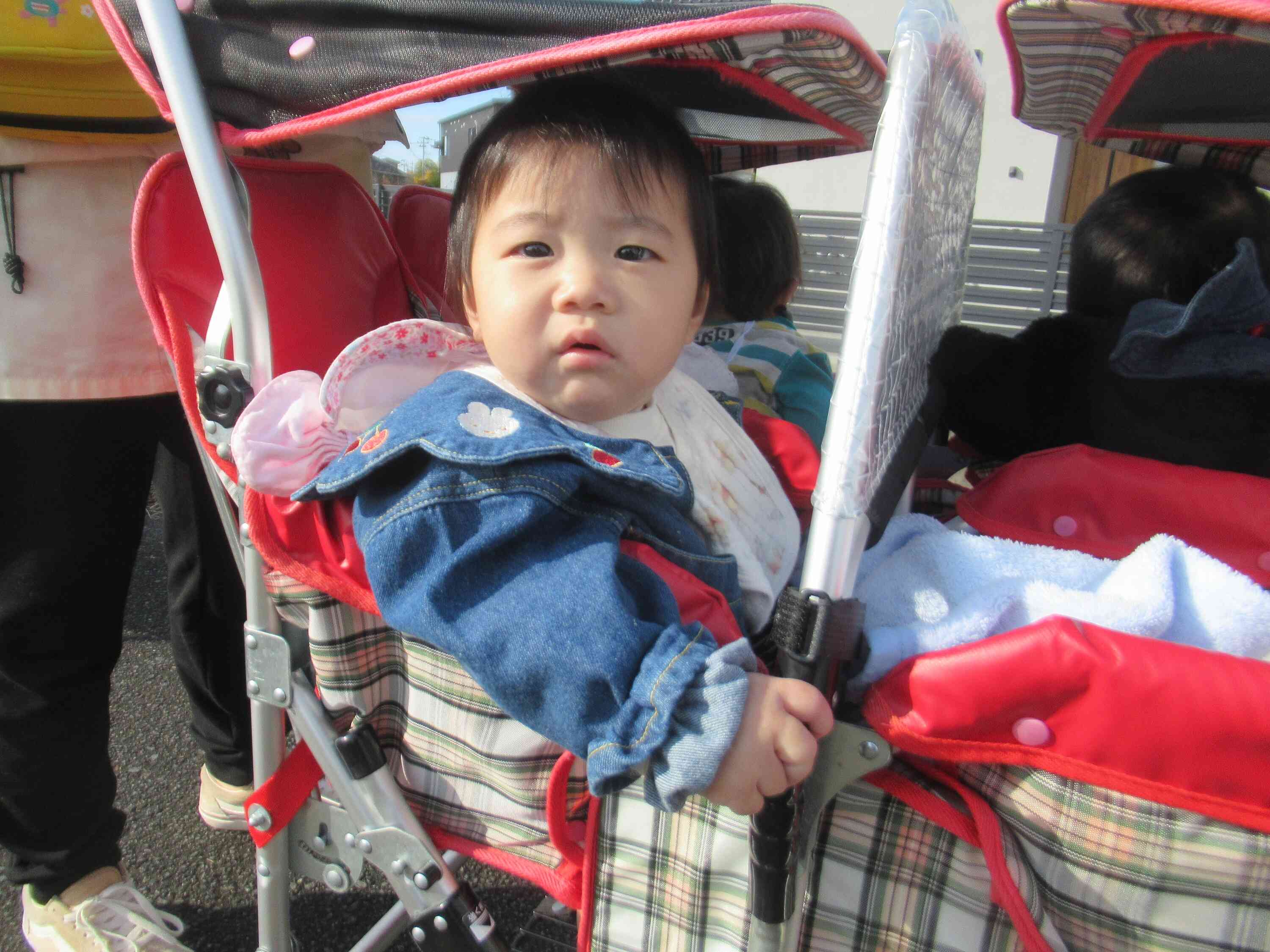 色々なものに興味津々です♪