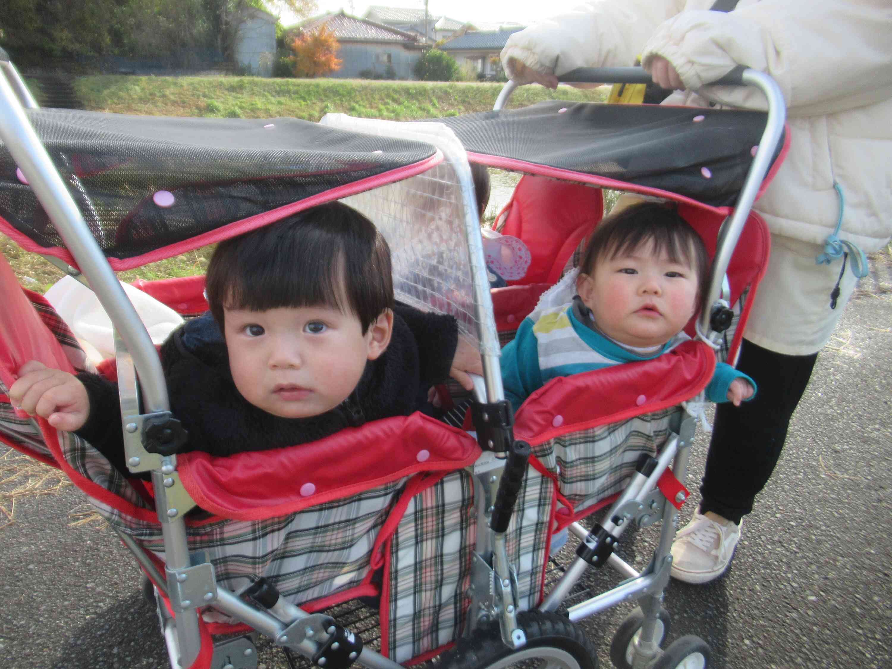 ぼくたちも見つけたよ★