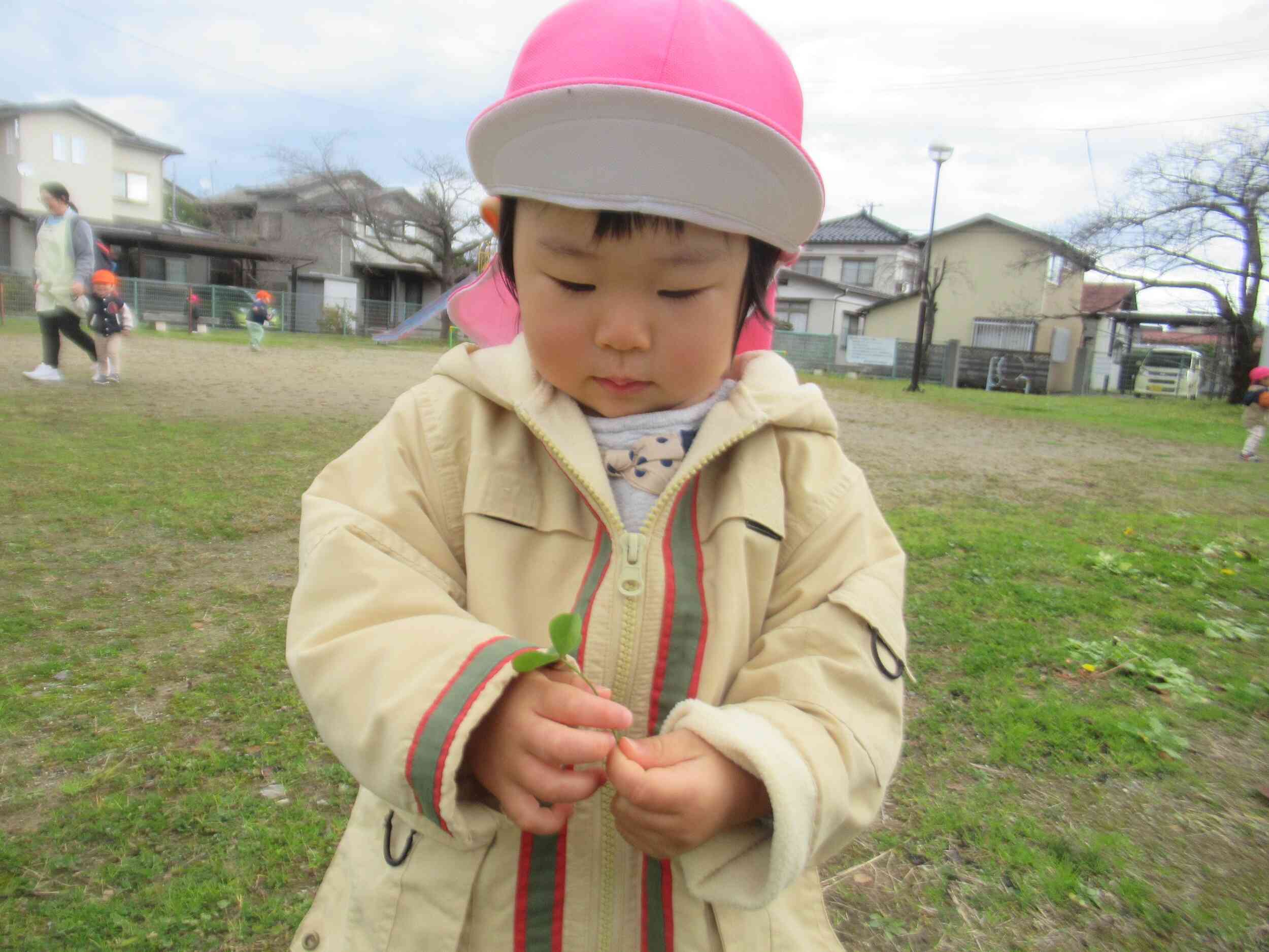 可愛い葉っぱ見つけたよ★