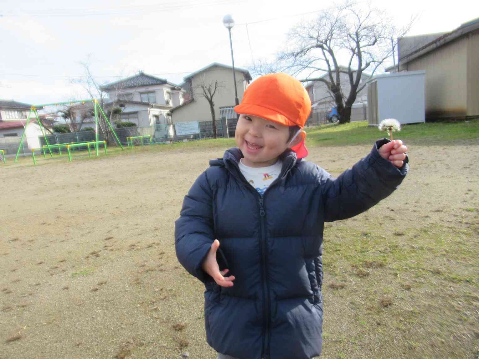 綿毛見つけたよ～！