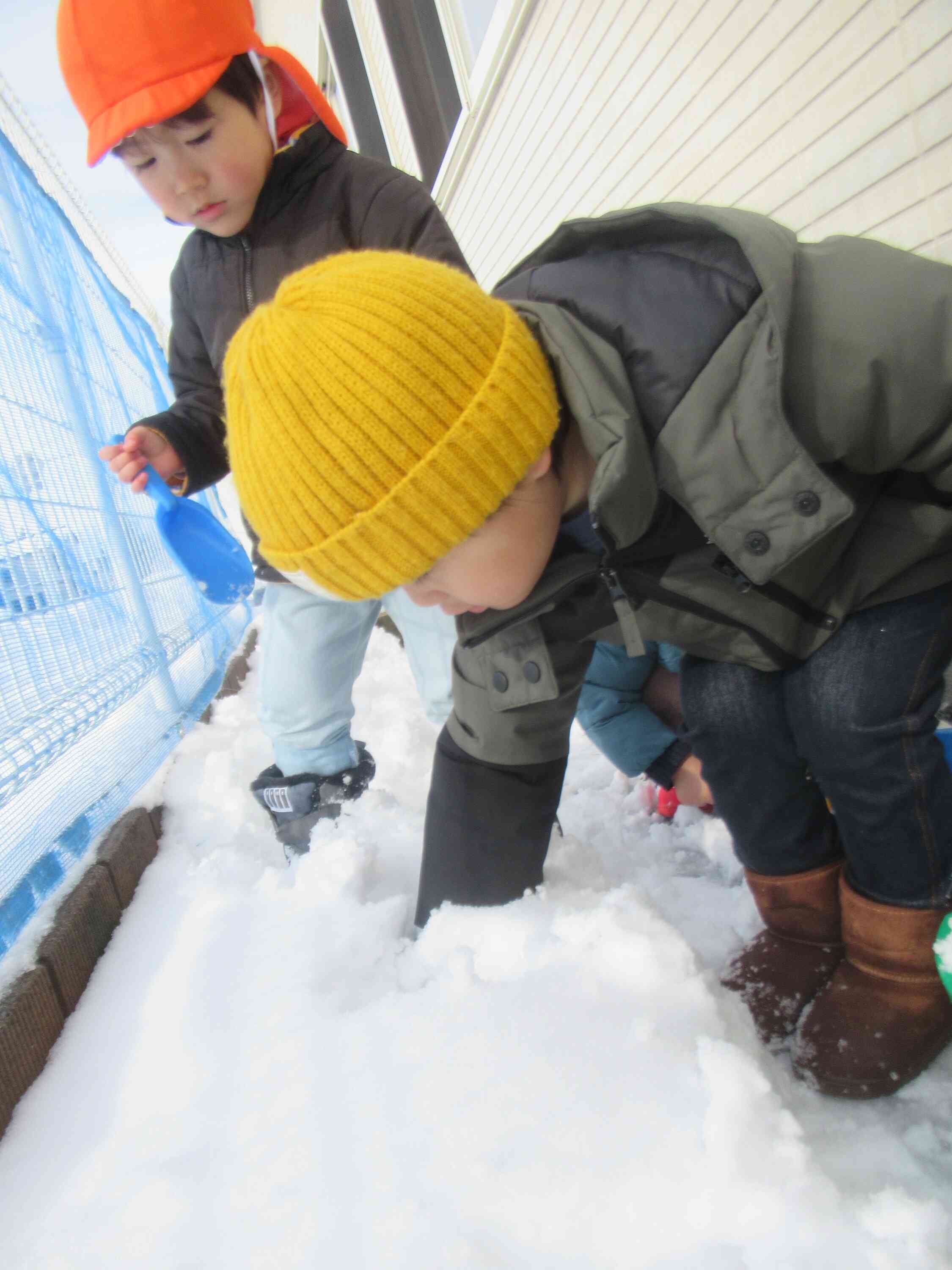 どこまで積もってるのかな？