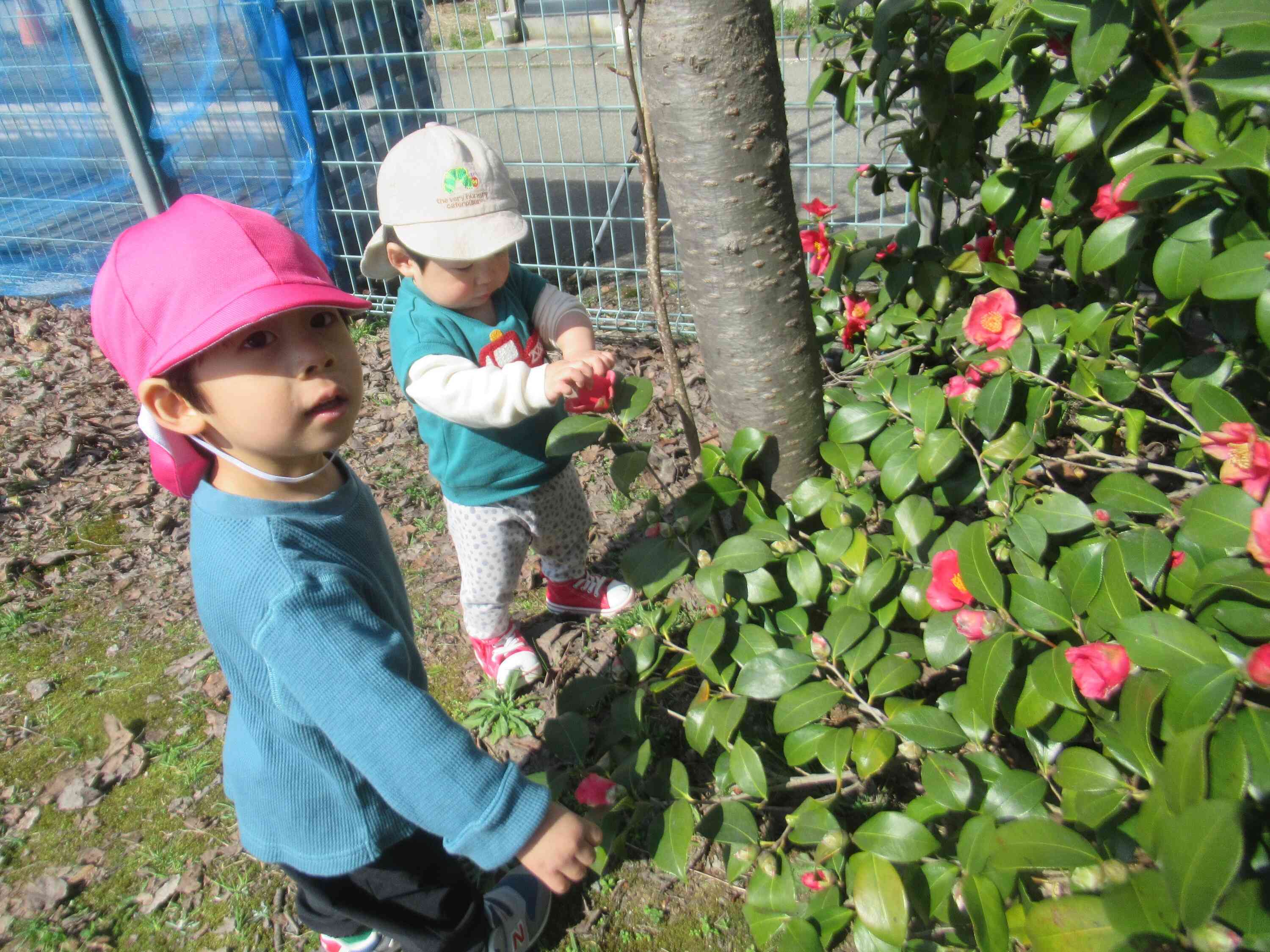 綺麗なお花発見☆