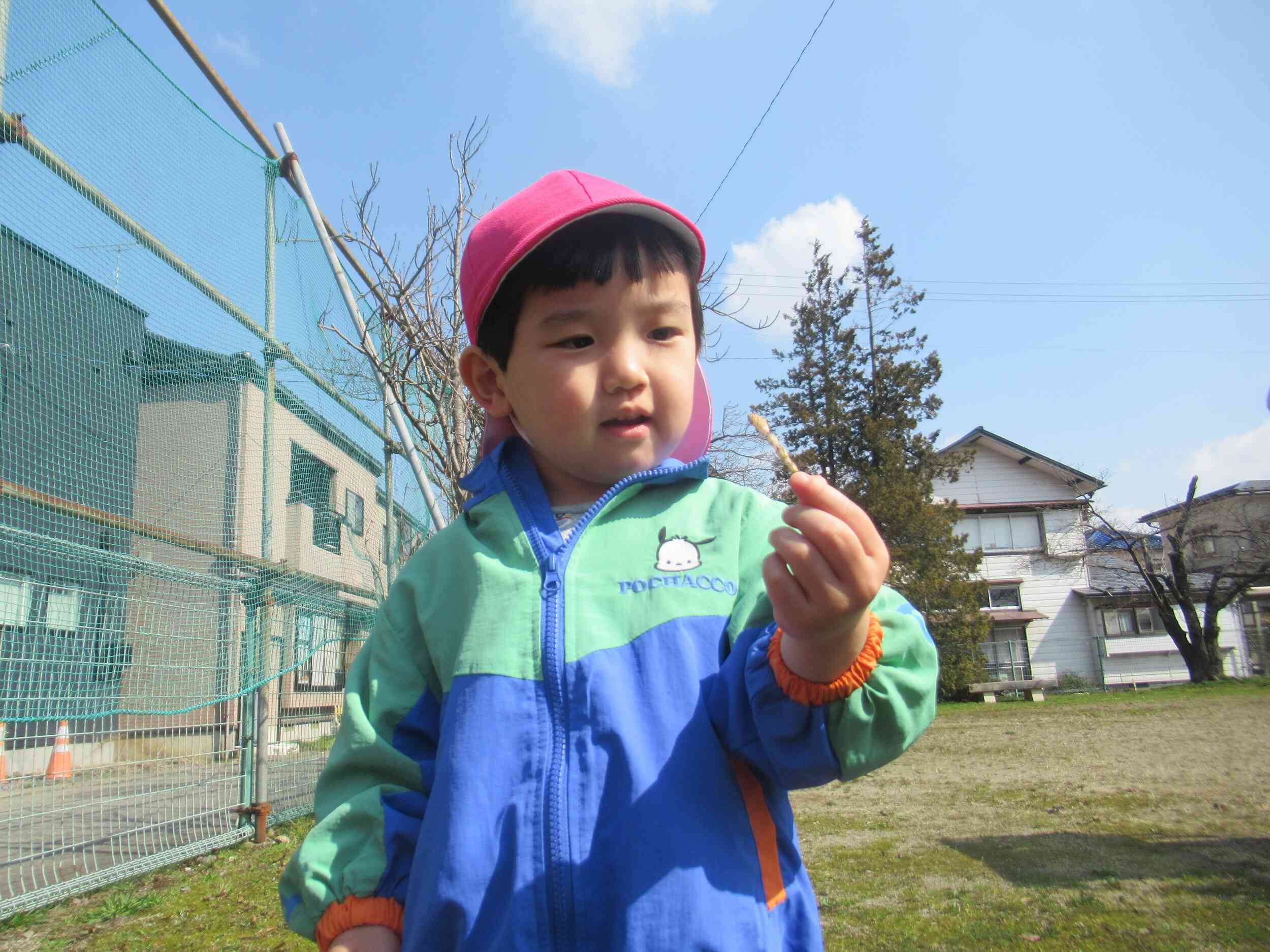 ぼくも、つくしゲット♪