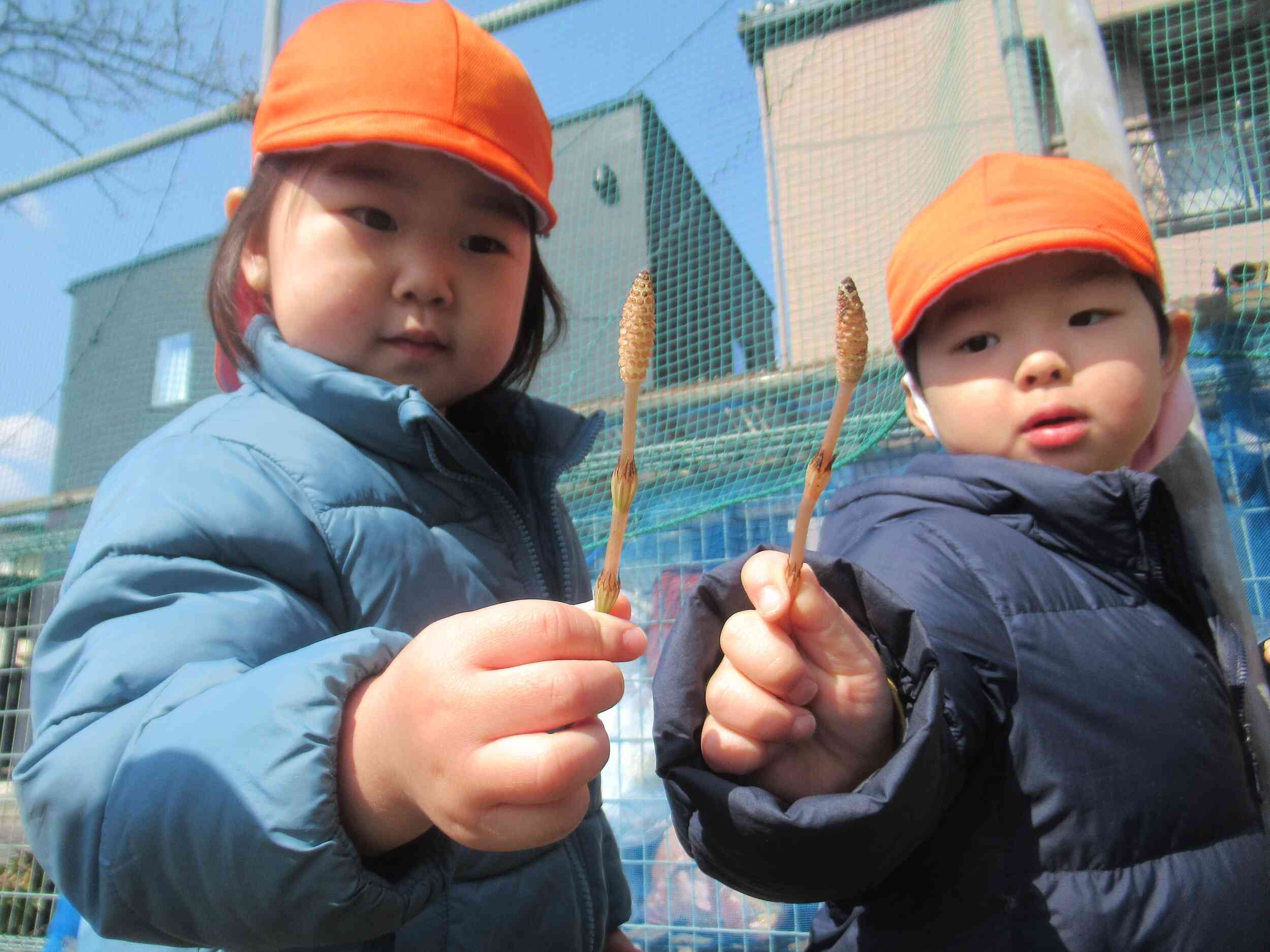 春、みーつけた！