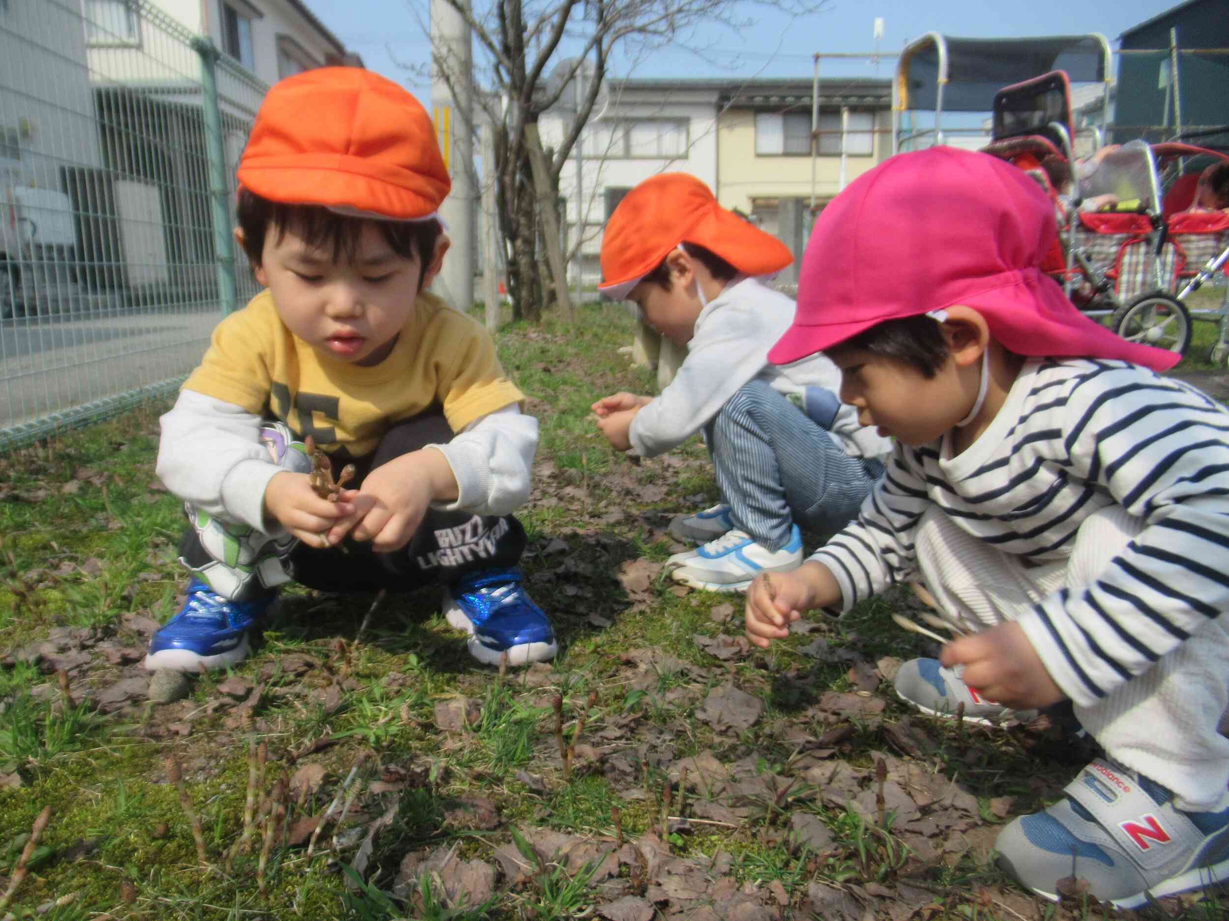 お散歩大好き！