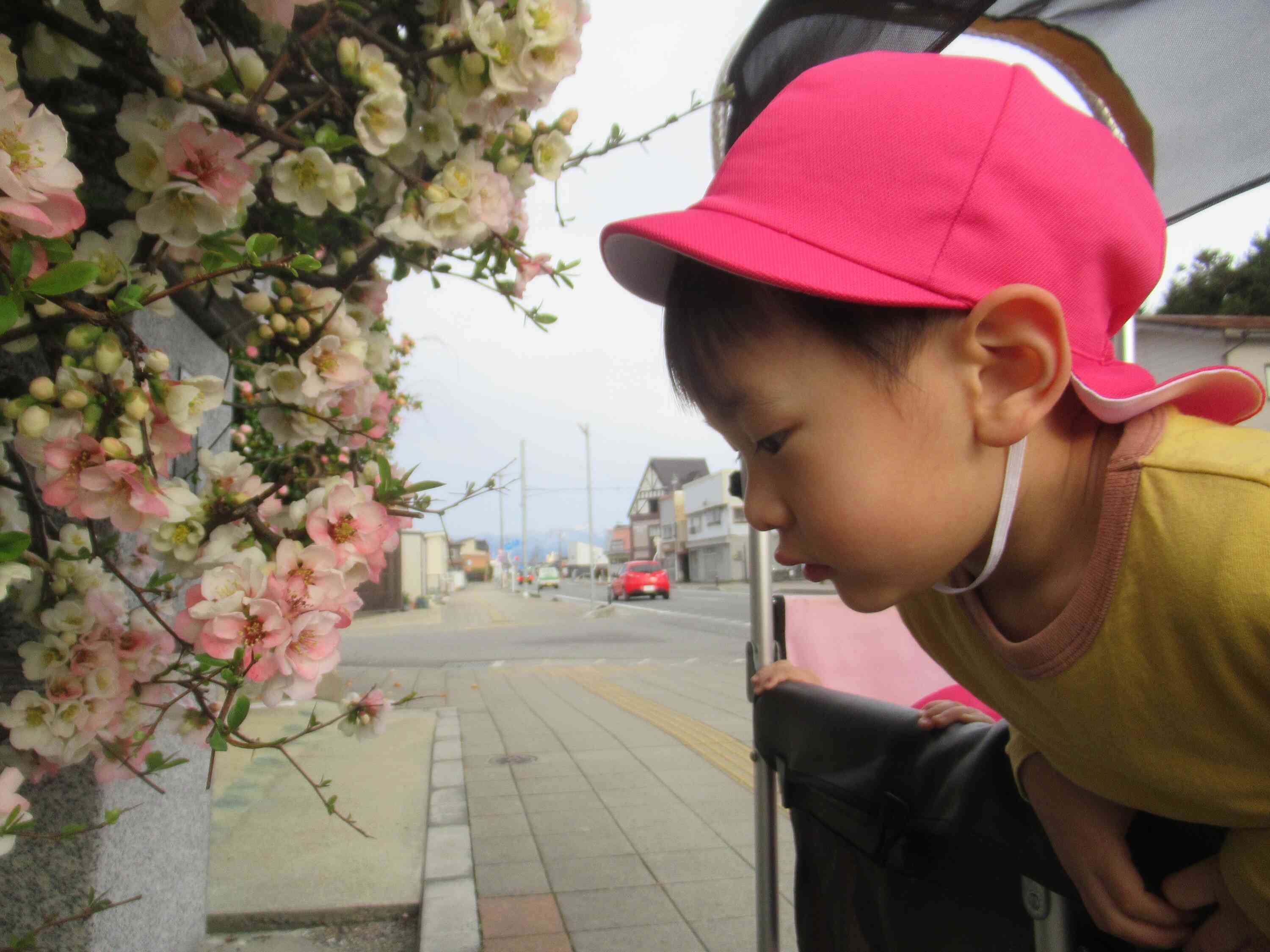 お花、み～つけた！